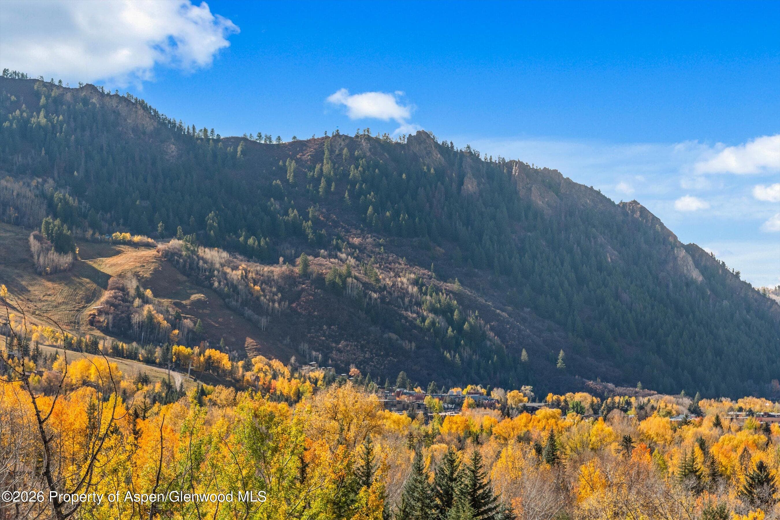 191 Skimming Lane, Aspen, CO 81611 - Photo 8
