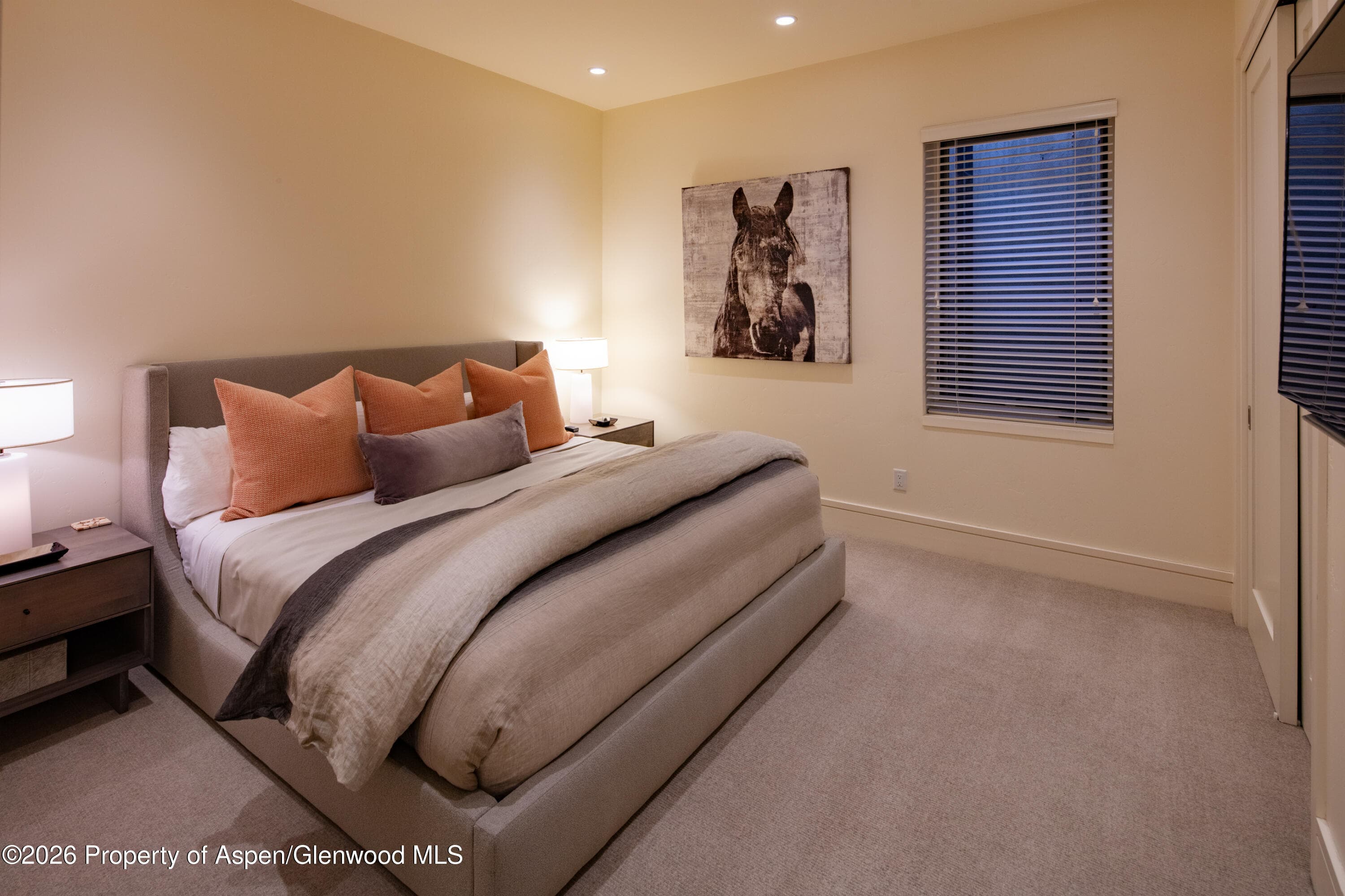 523 Walnut Street A, Aspen, CO 81611 - Photo 21