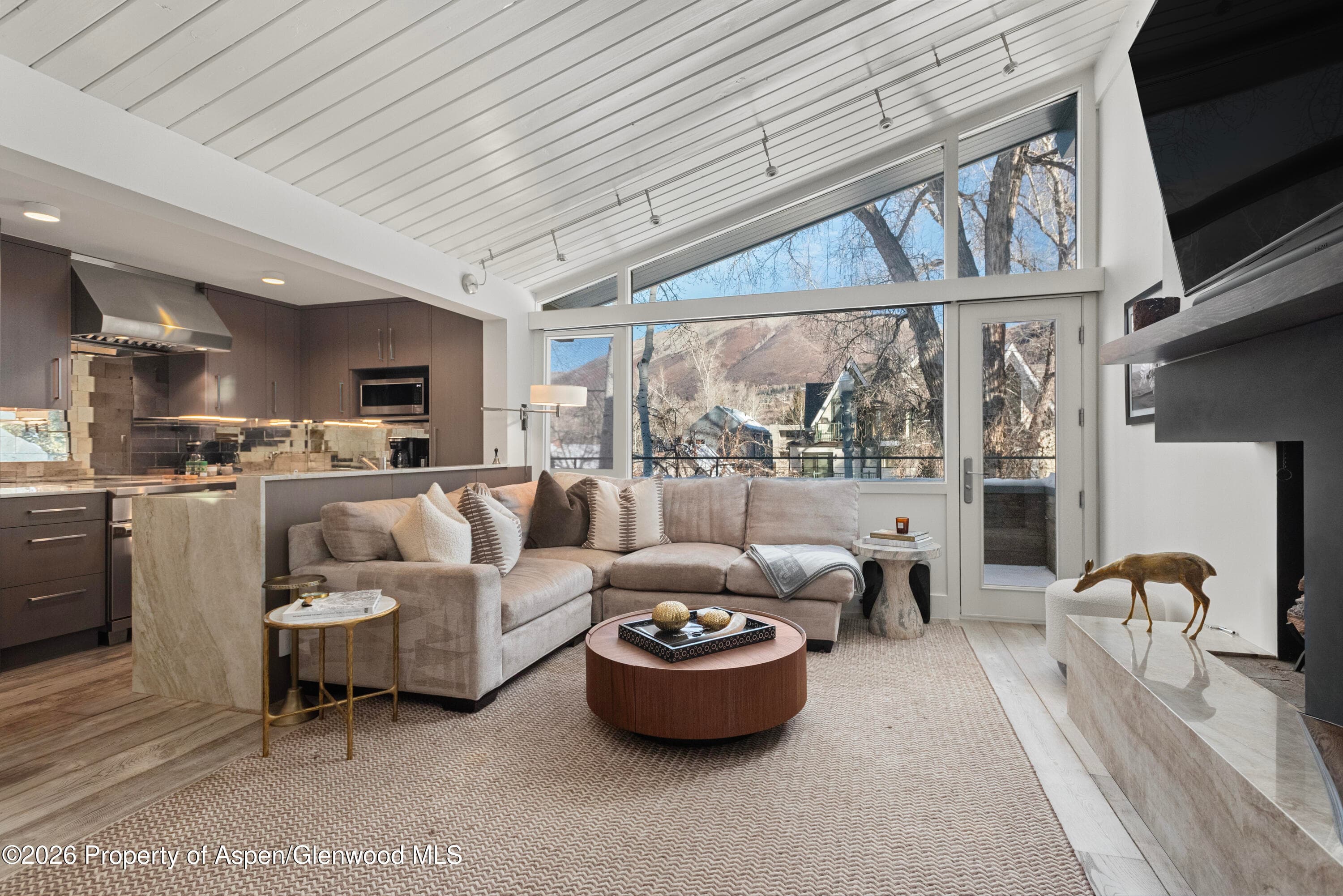 1001 E Cooper Avenue 2, Aspen, CO 81611 - Photo 2