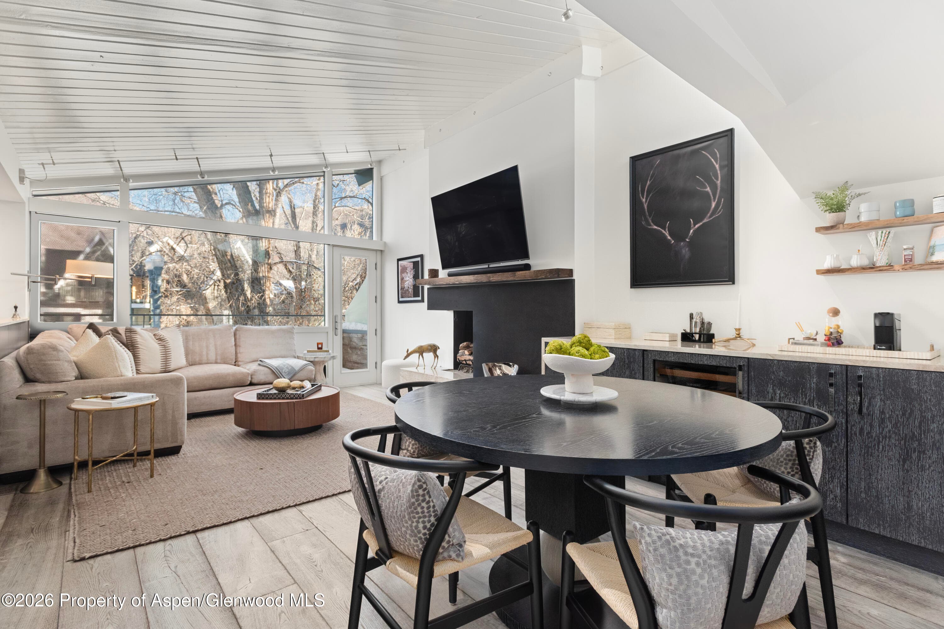 1001 E Cooper Avenue 2, Aspen, CO 81611 - Photo 6