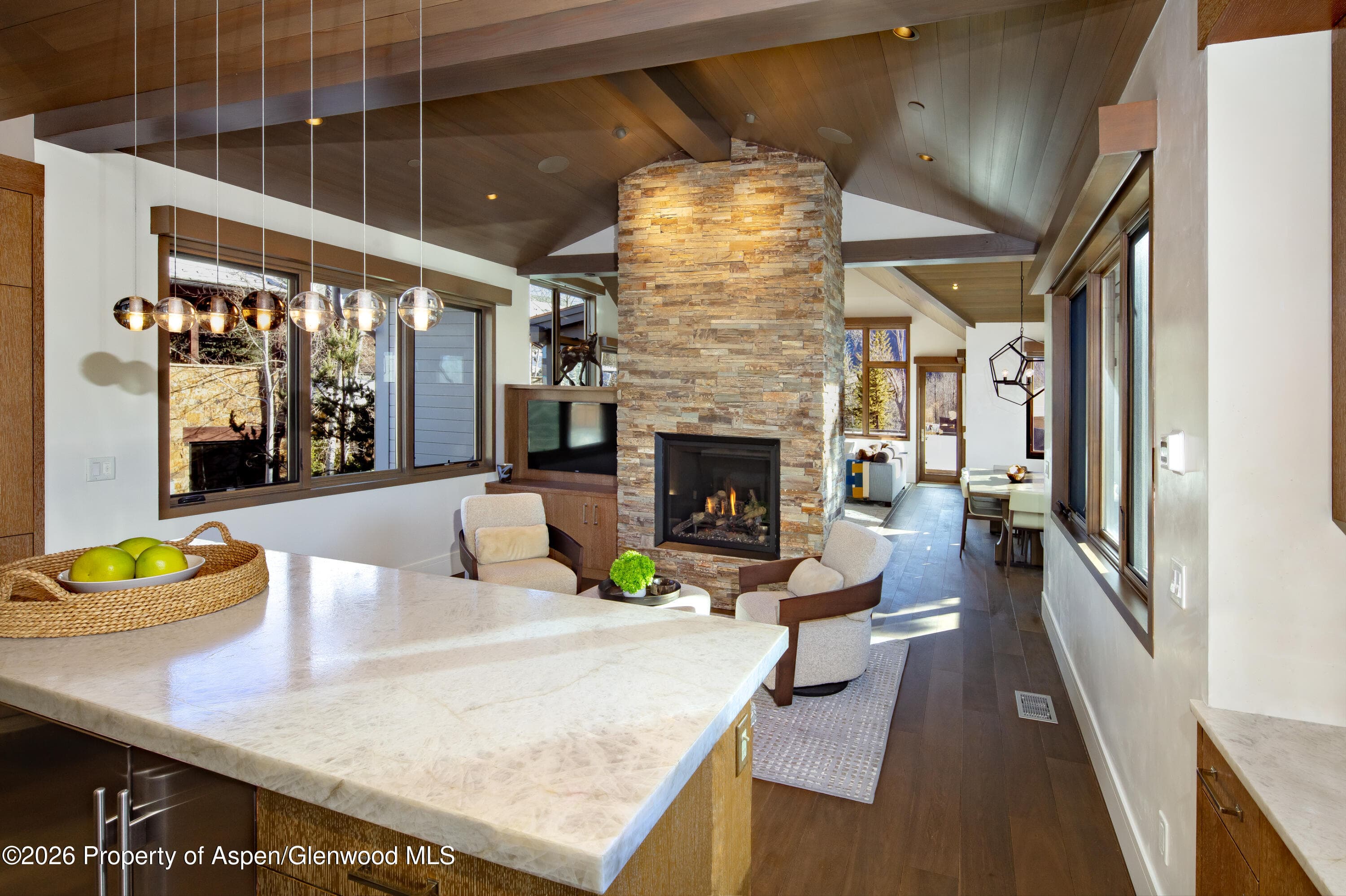 523 Walnut Street A, Aspen, CO 81611 - Photo 5