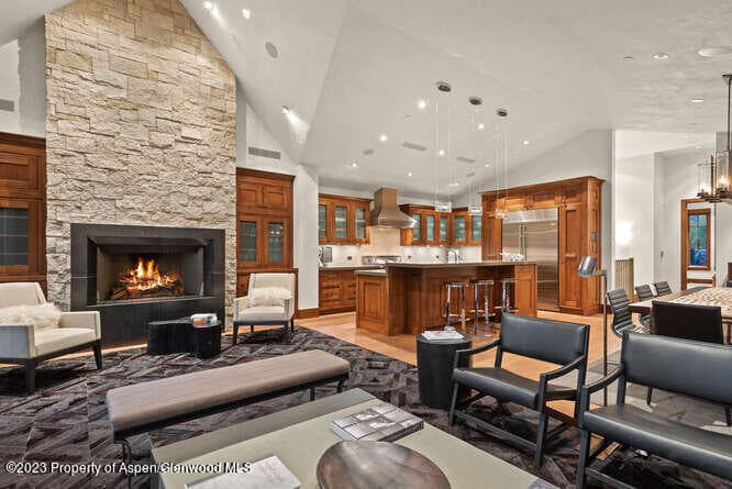 719 E Hopkins Avenue 202, Aspen, CO 81611 - Photo 5