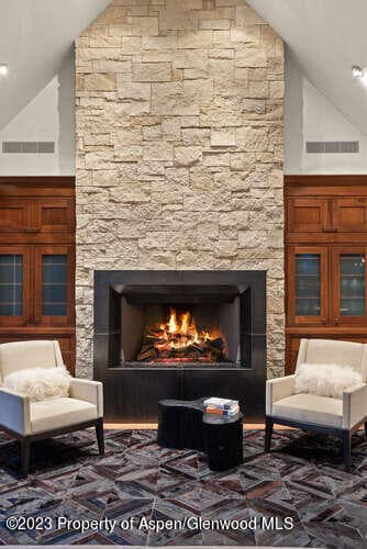 719 E Hopkins Avenue 202, Aspen, CO 81611 - Photo 8
