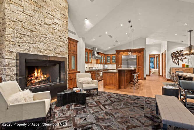 719 E Hopkins Avenue 202, Aspen, CO 81611 - Photo 10