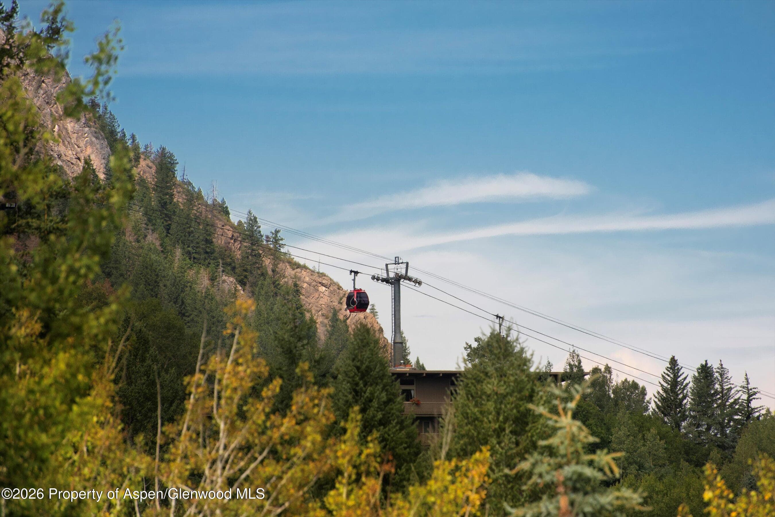 1271 Ute Avenue, Aspen, CO 81611 - Photo 46