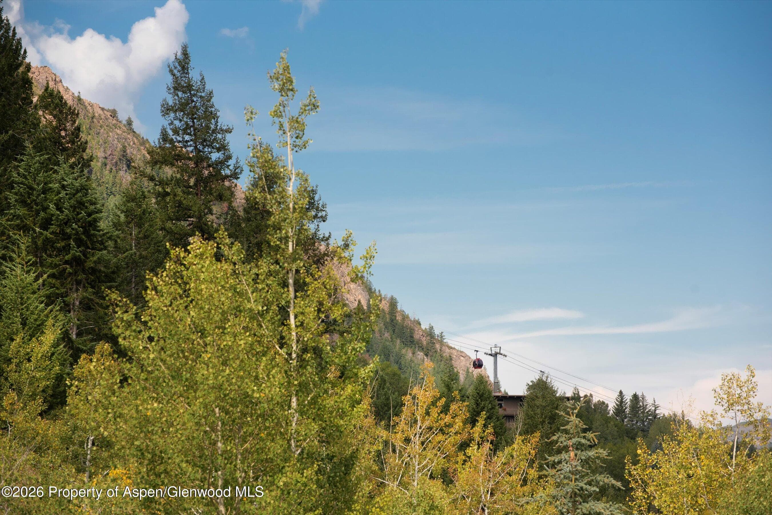 1271 Ute Avenue, Aspen, CO 81611 - Photo 48