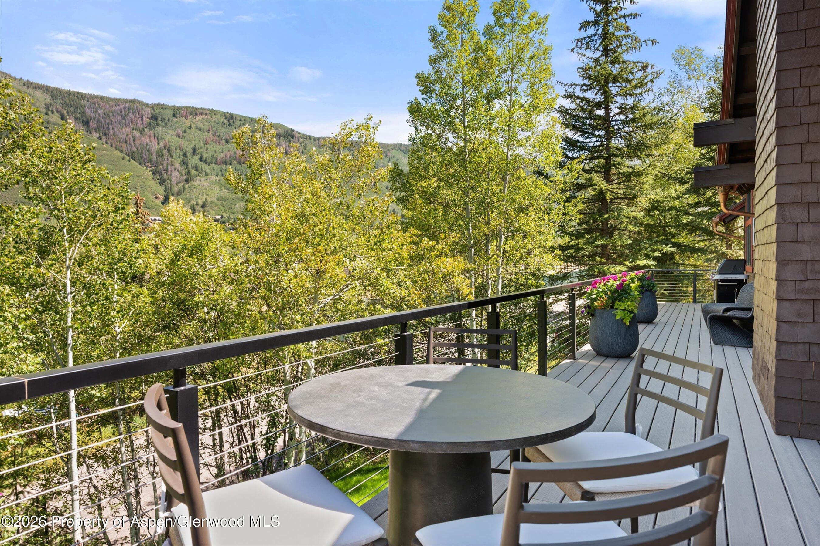 1271 Ute Avenue, Aspen, CO 81611 - Photo 45