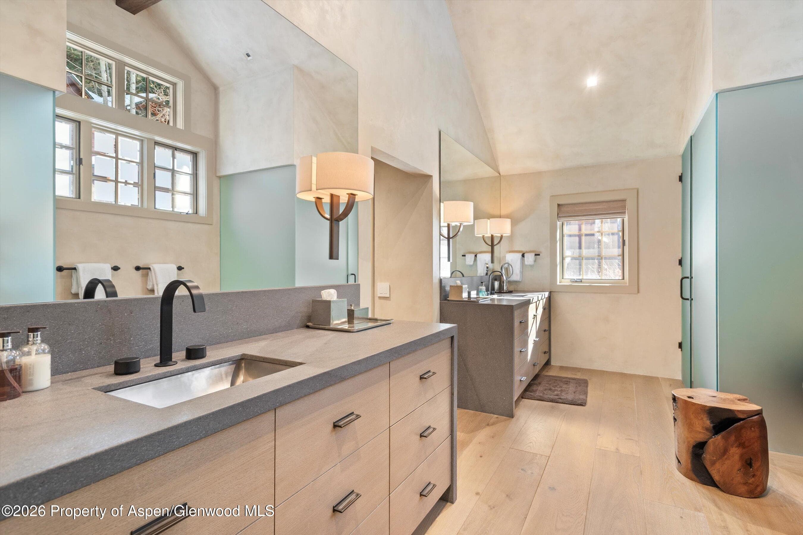 1271 Ute Avenue, Aspen, CO 81611 - Photo 15