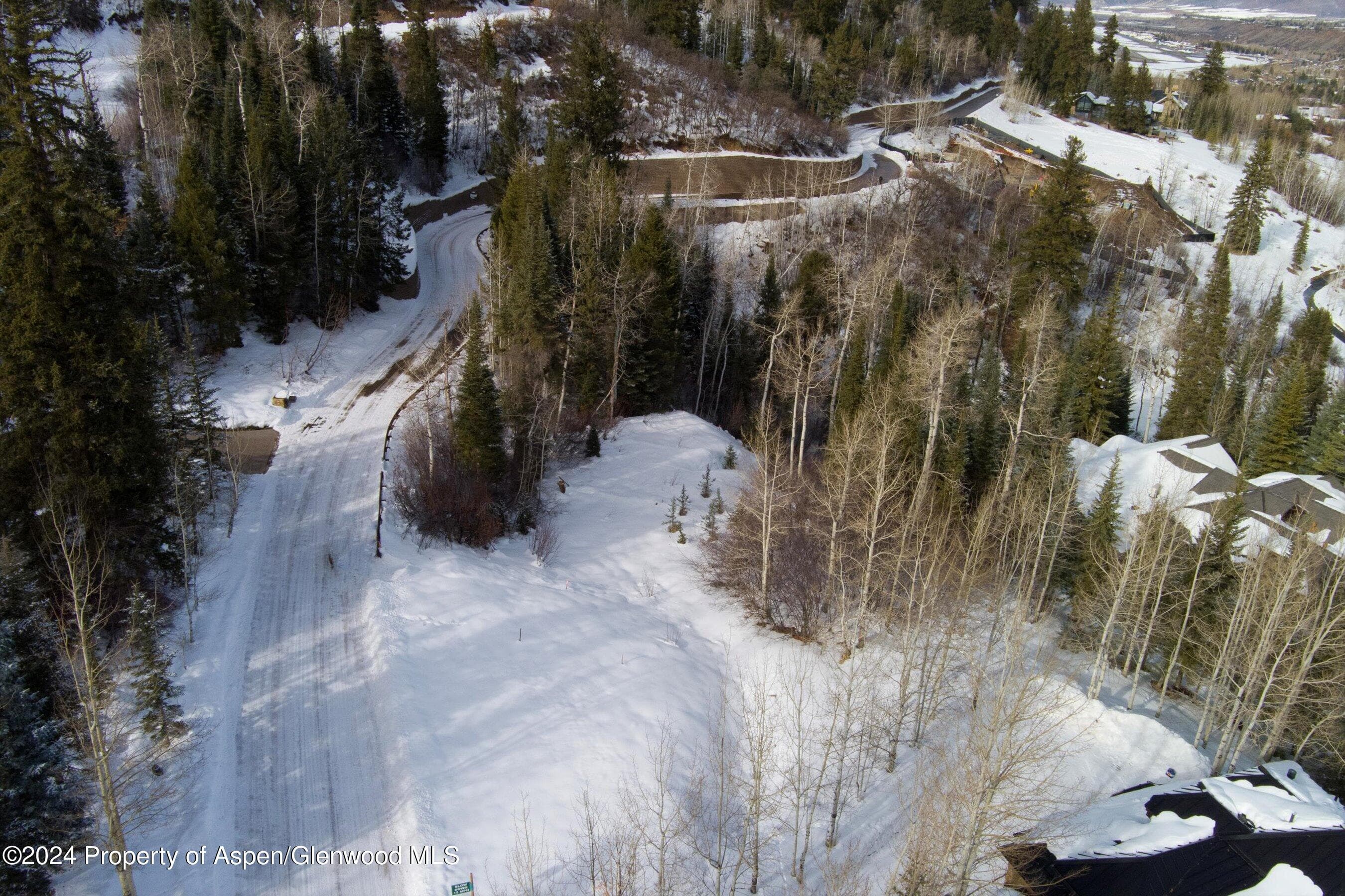 Tbd Pfister Drive, Aspen, CO 81611 - Photo 19