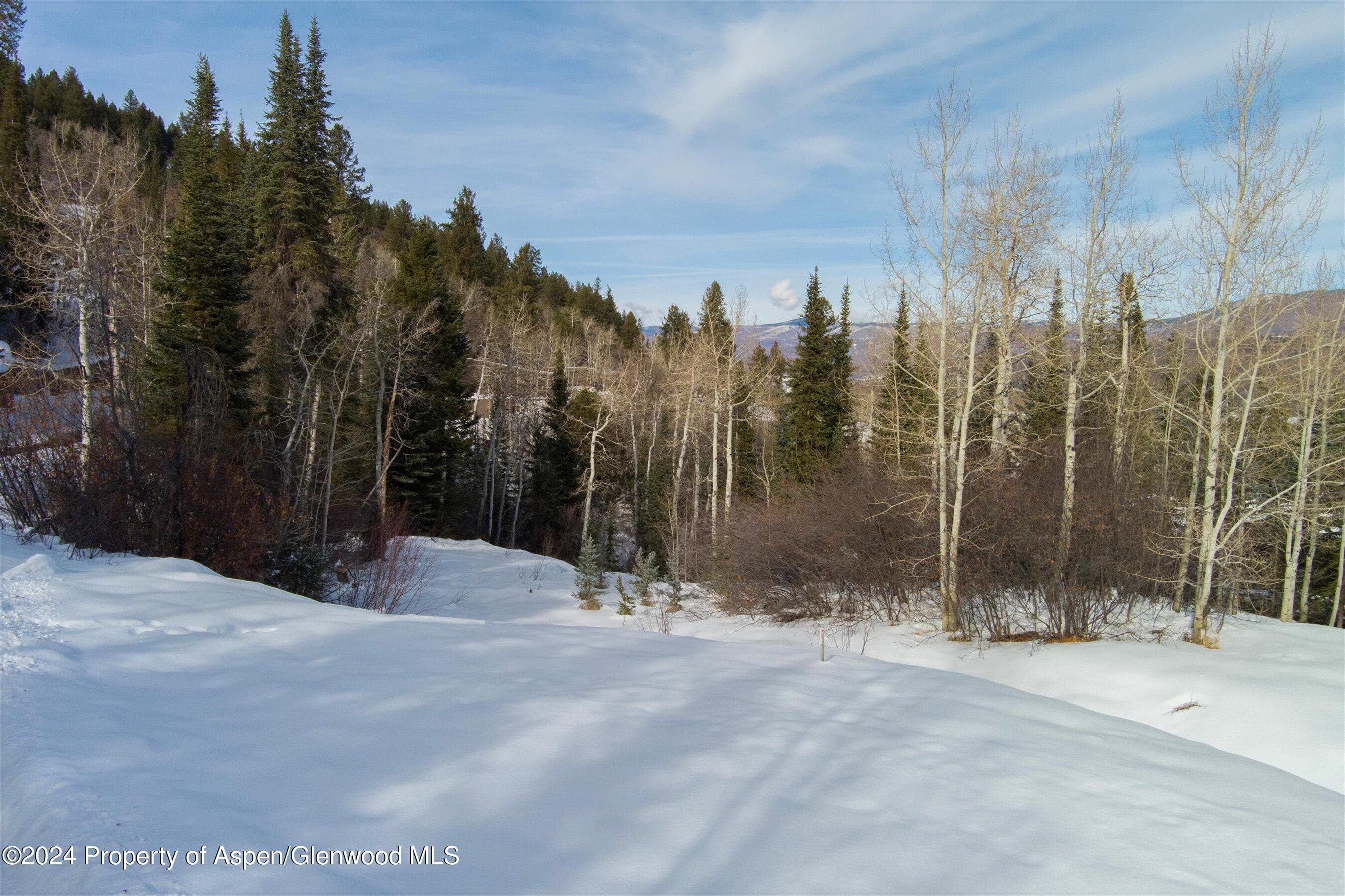 Tbd Pfister Drive, Aspen, CO 81611 - Photo 21