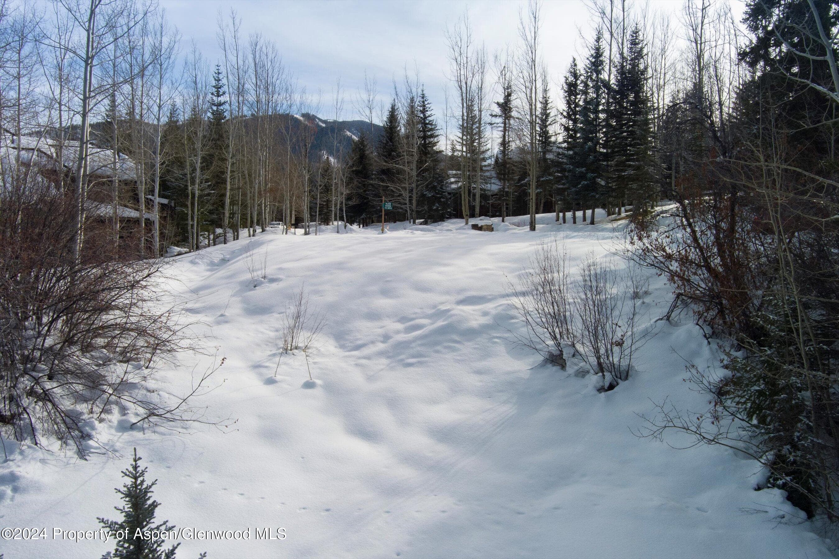 Tbd Pfister Drive, Aspen, CO 81611 - Photo 23