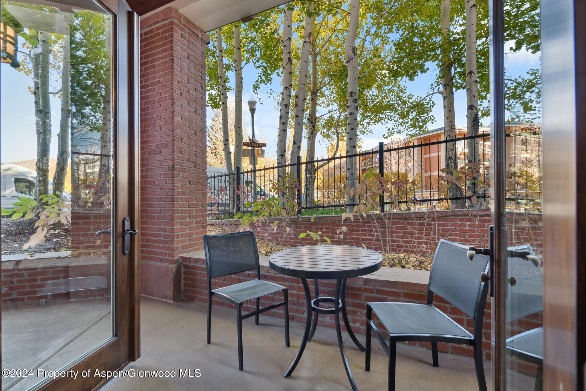 415 E Dean St, Unit 3 Week 8, Aspen, CO 81611 - Photo 19