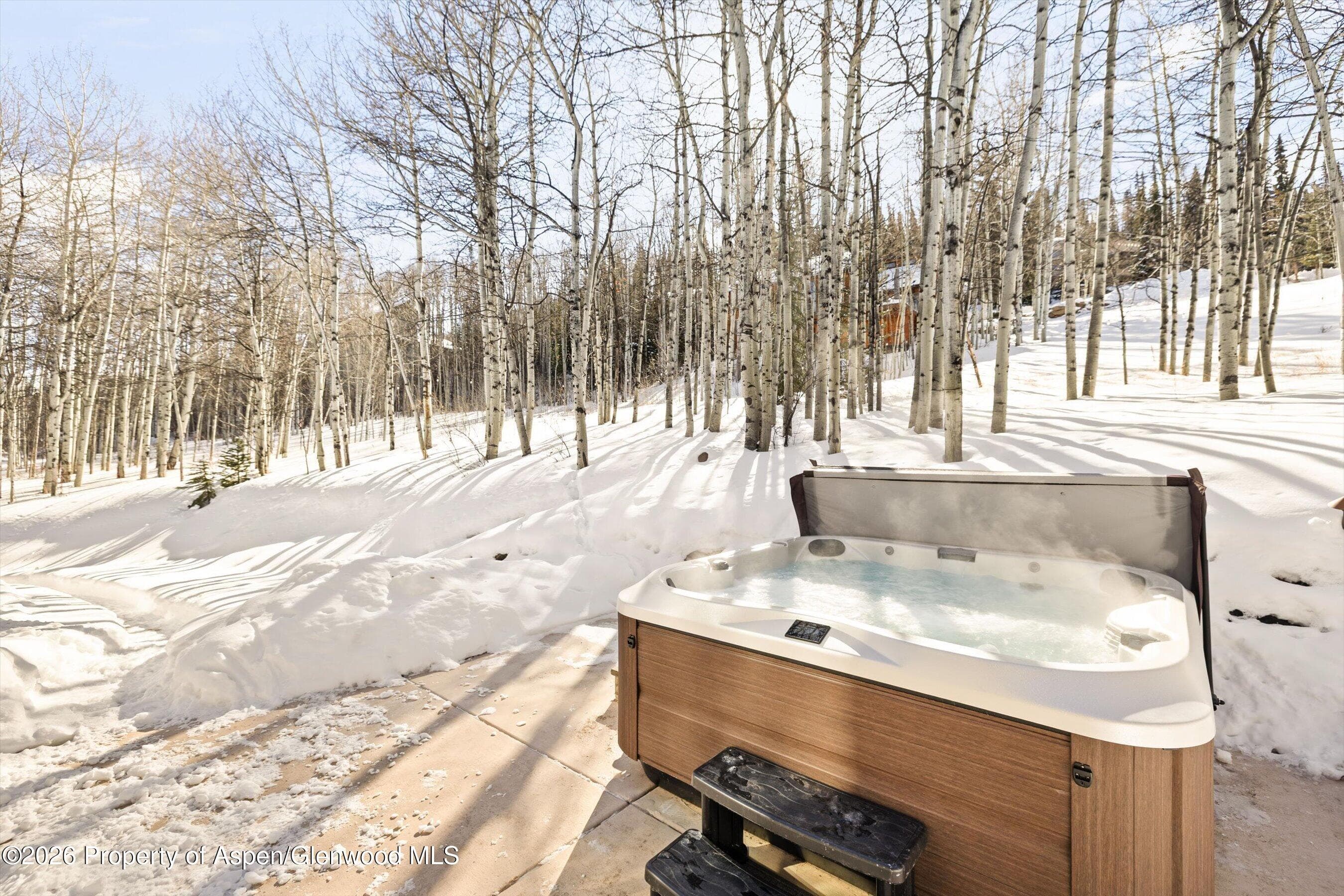 435 Faraway Road, Snowmass Village, CO 81615 - Photo 29