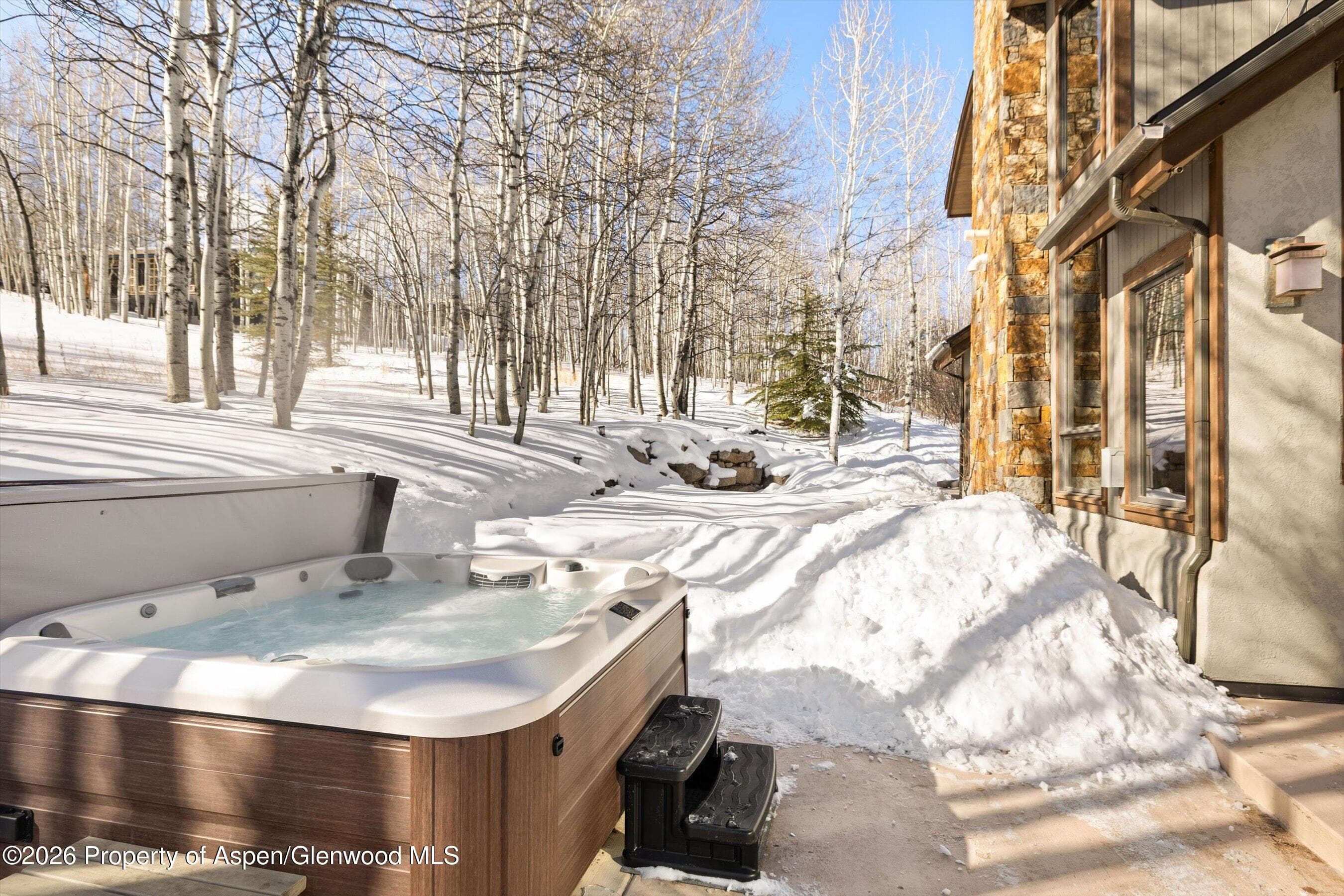 435 Faraway Road, Snowmass Village, CO 81615 - Photo 30