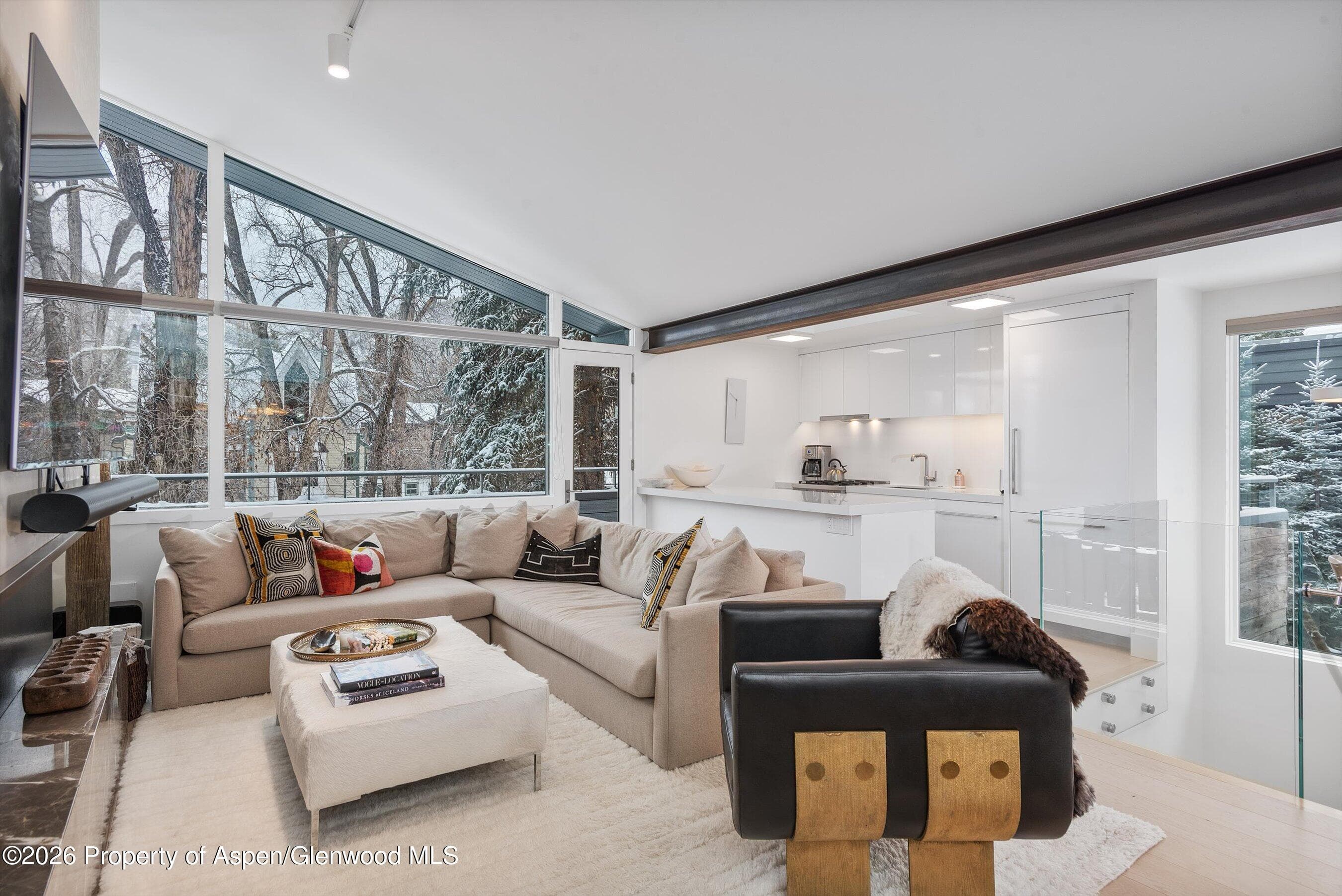 1001 E Cooper Avenue 1, Aspen, CO 81611 - Photo 4