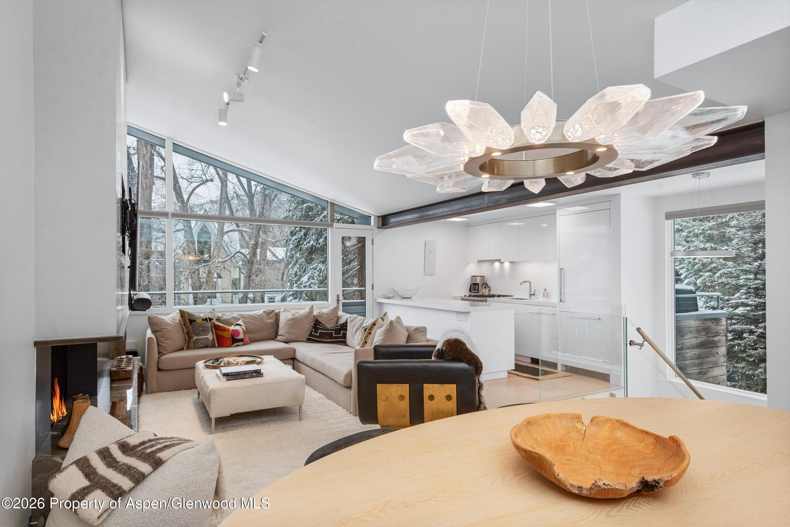 1001 E Cooper Avenue 1, Aspen, CO 81611 - Photo 6
