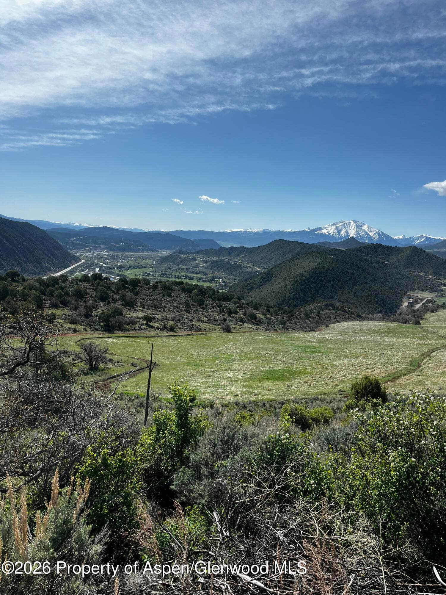 2833 County Road 117, Glenwood Springs, CO 81601 - Photo 3