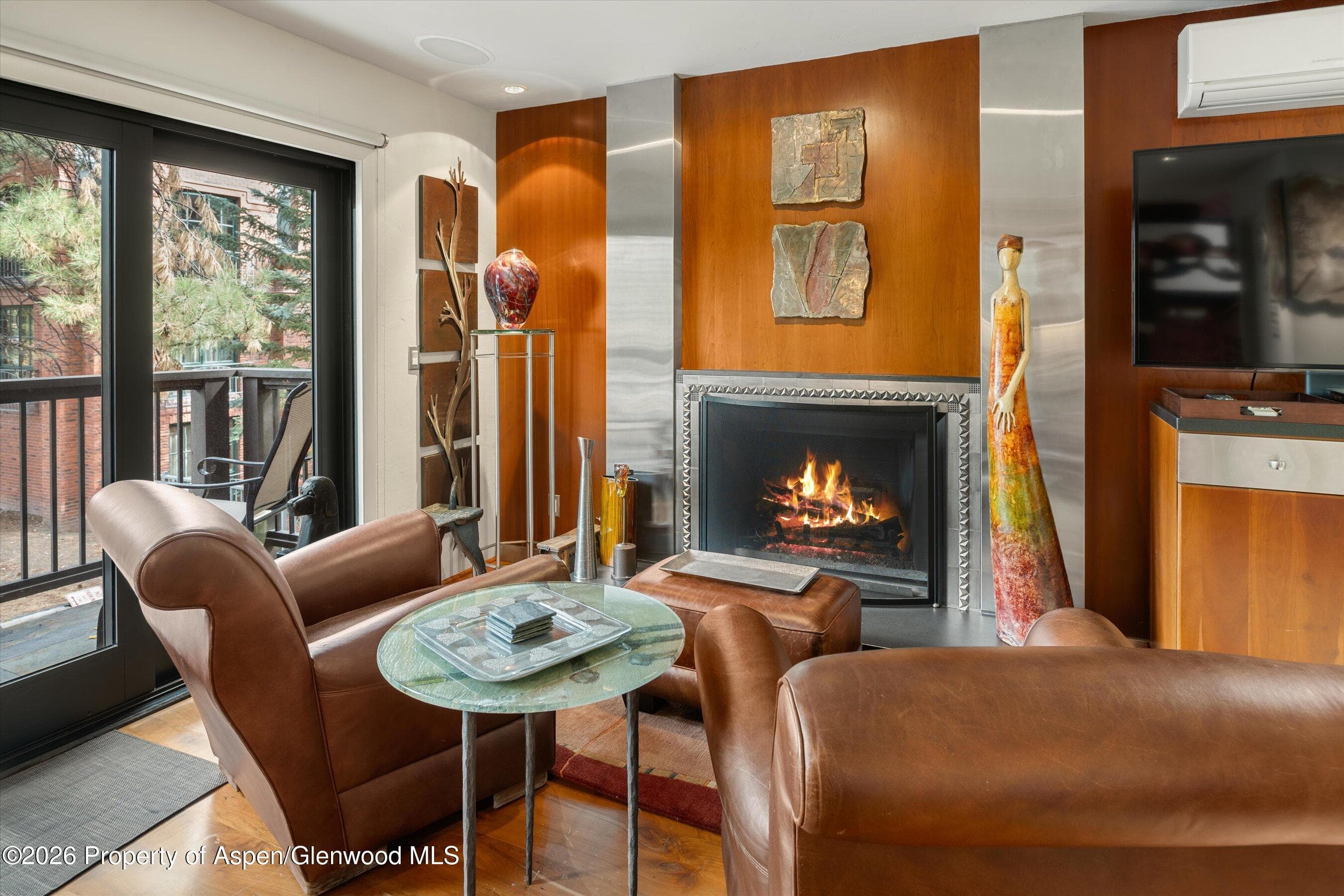 650 S Monarch Street 9, Aspen, CO 81611 - Photo 3