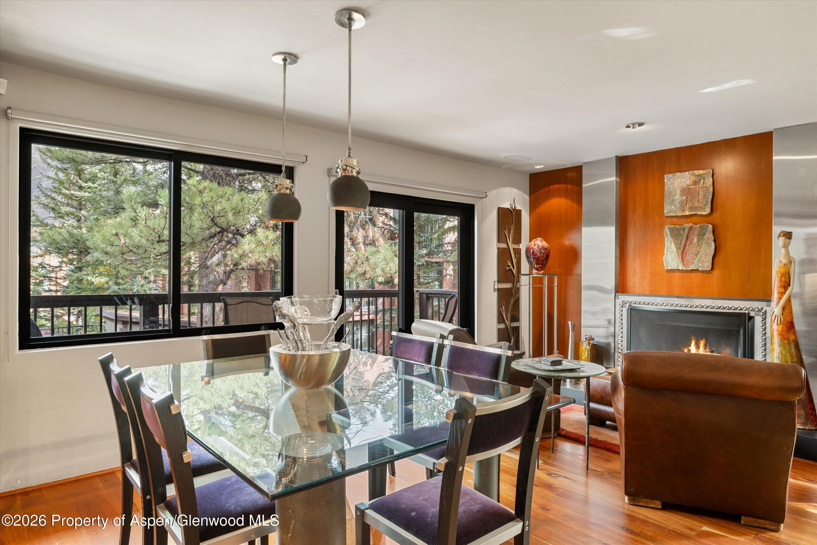 650 S Monarch Street 9, Aspen, CO 81611 - Photo 4