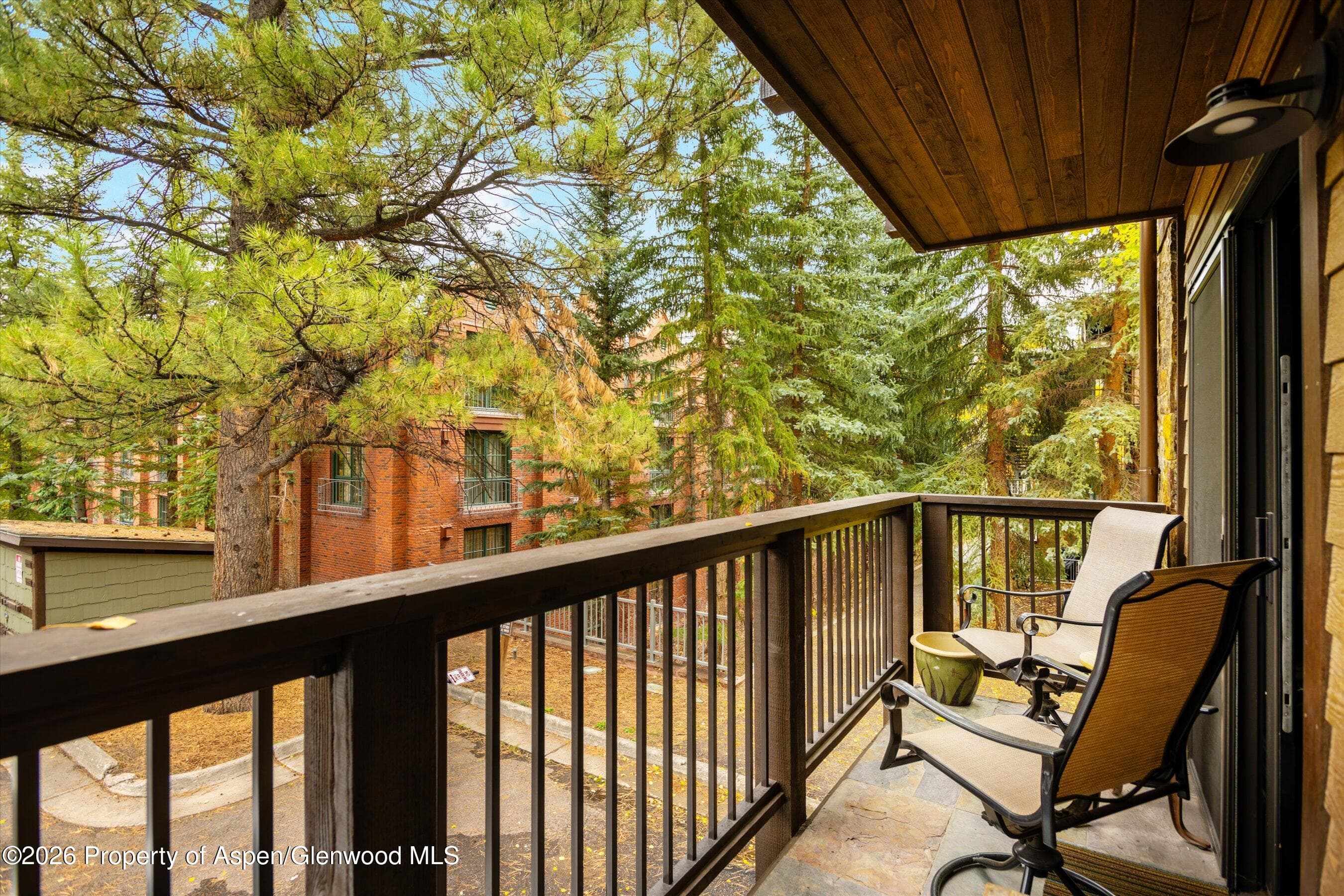650 S Monarch Street 9, Aspen, CO 81611 - Photo 24