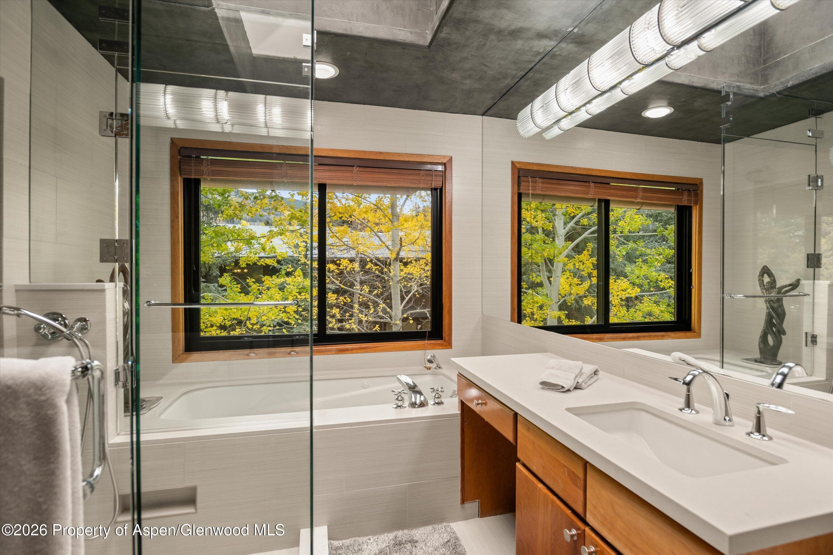 650 S Monarch Street 9, Aspen, CO 81611 - Photo 10