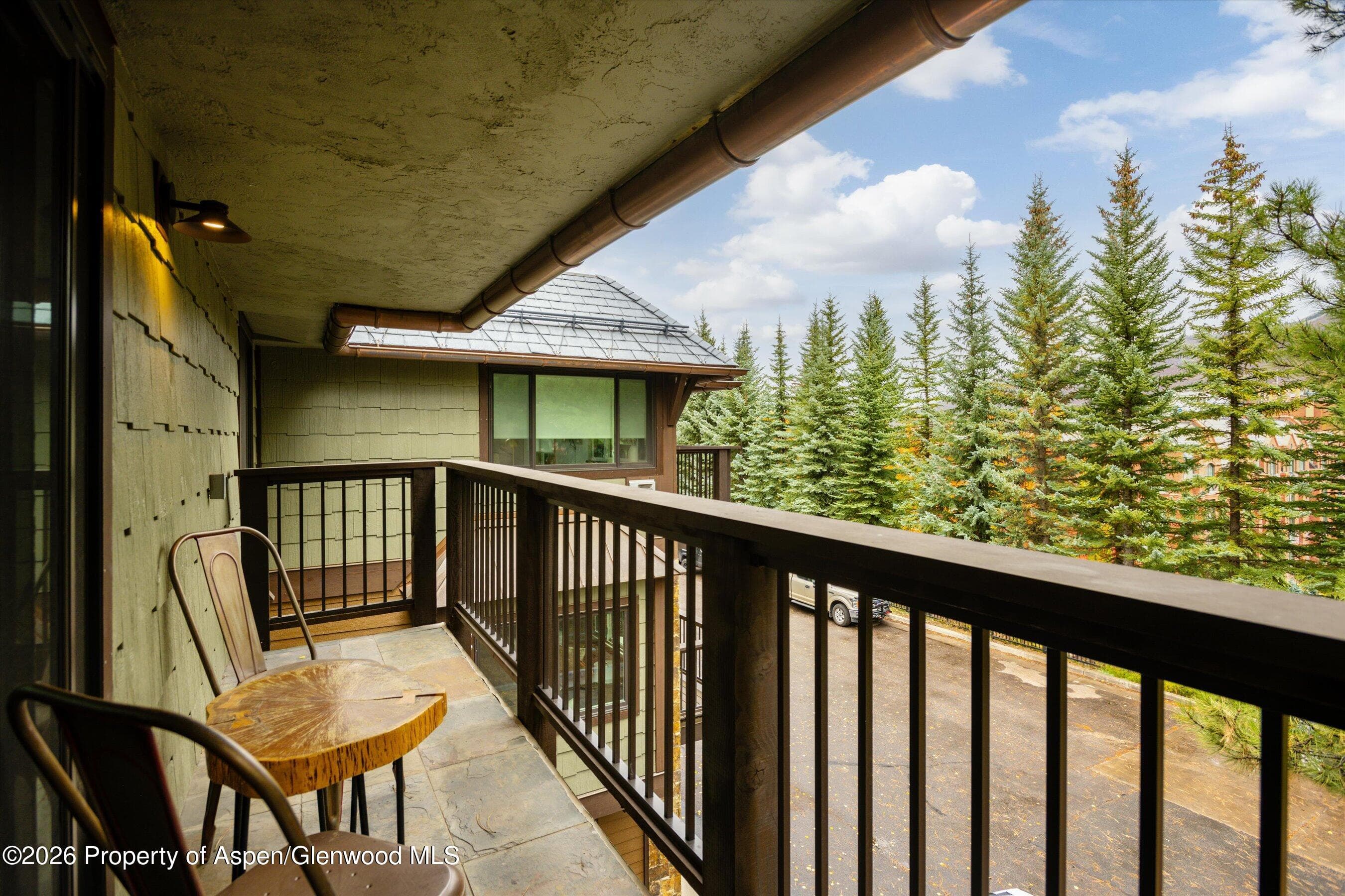 650 S Monarch Street 9, Aspen, CO 81611 - Photo 25