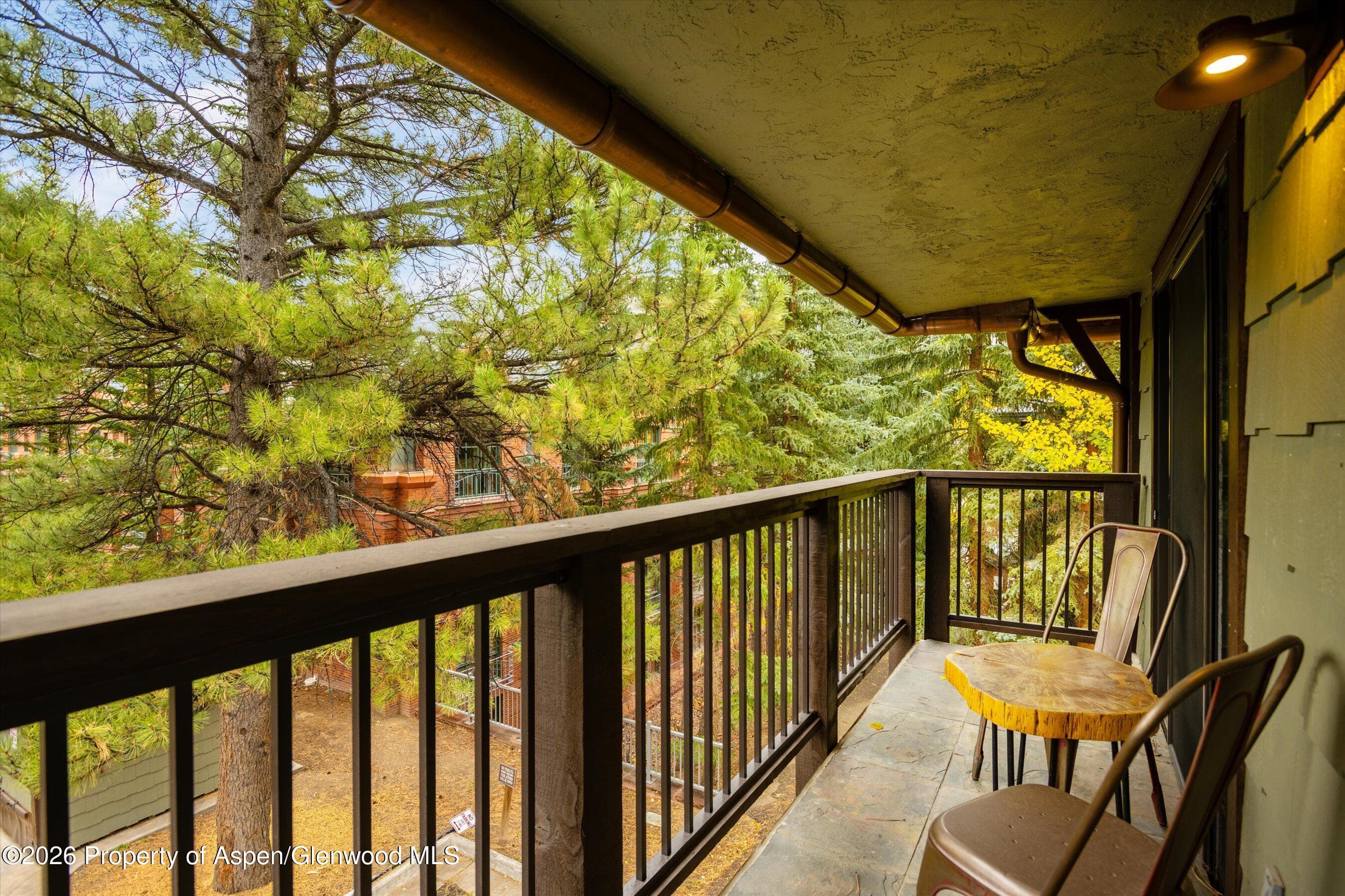 650 S Monarch Street 9, Aspen, CO 81611 - Photo 23