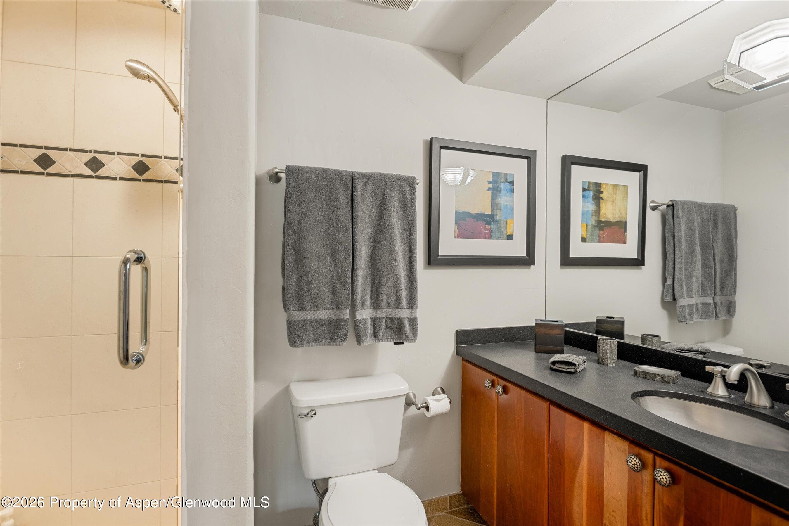 650 S Monarch Street 9, Aspen, CO 81611 - Photo 12