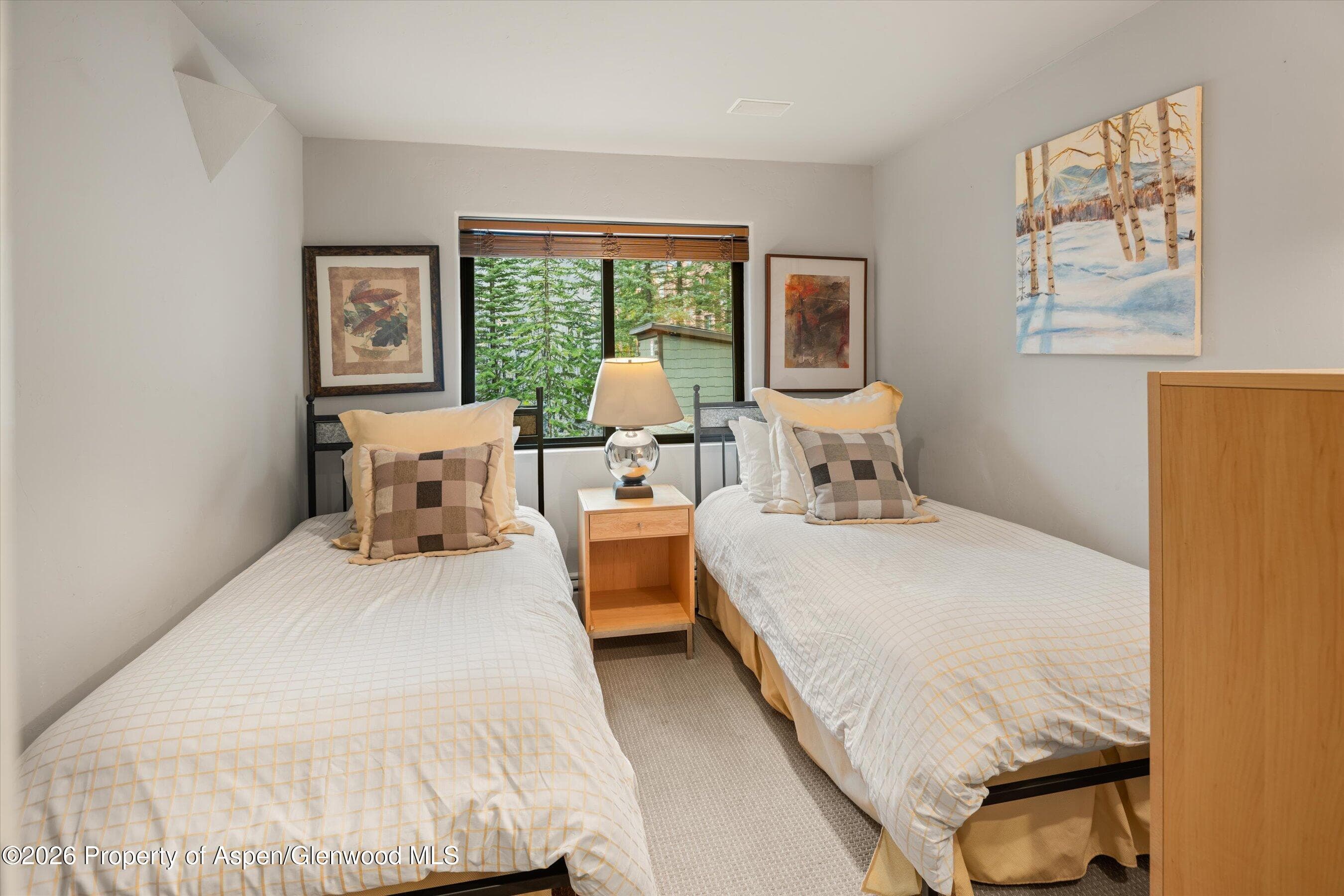650 S Monarch Street 9, Aspen, CO 81611 - Photo 15