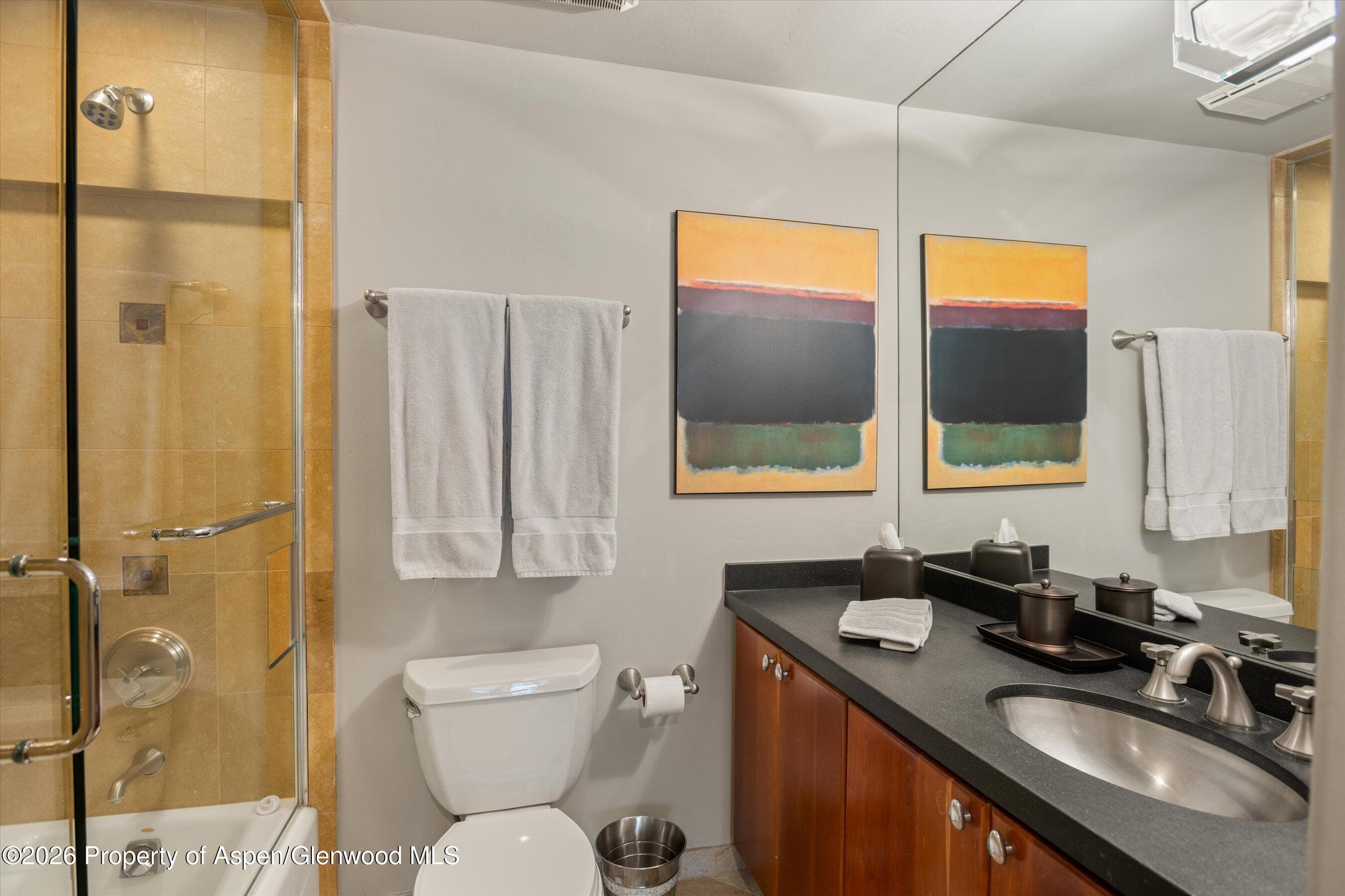 650 S Monarch Street 9, Aspen, CO 81611 - Photo 16