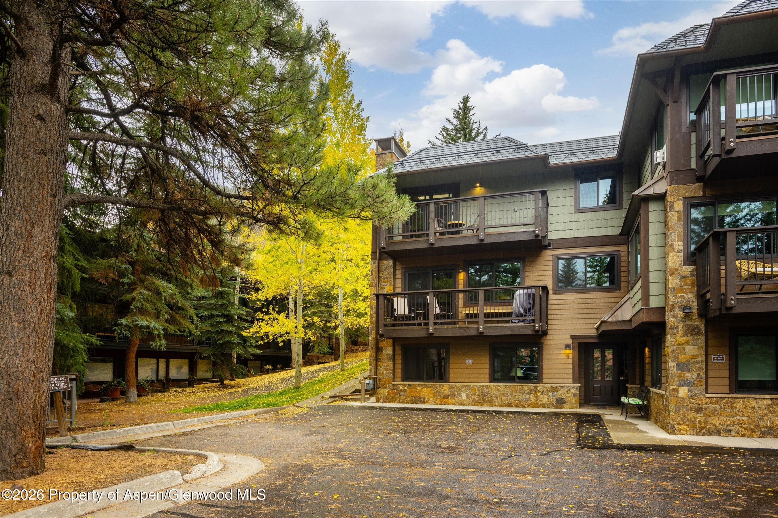 650 S Monarch Street 9, Aspen, CO 81611 - Photo 19