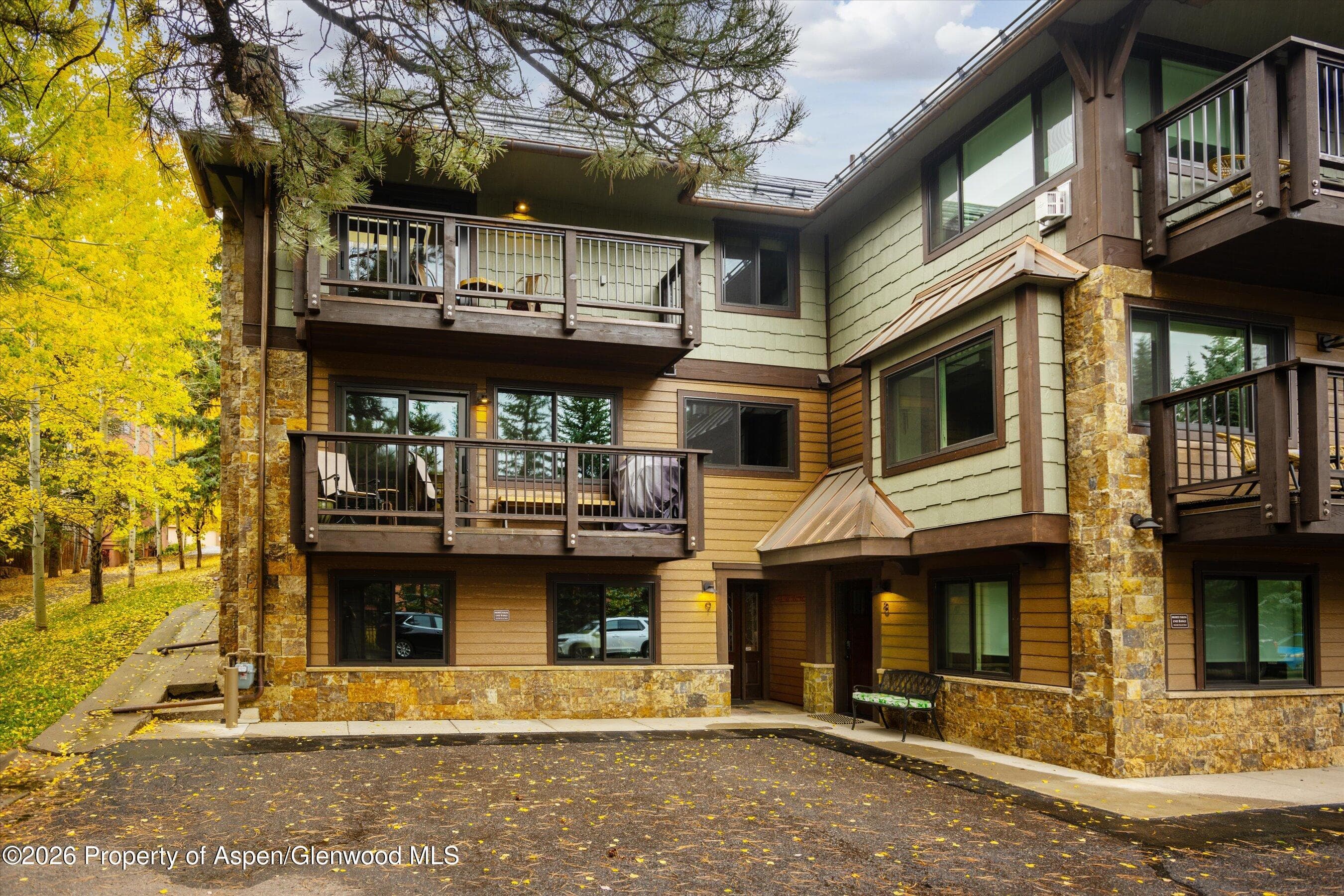 650 S Monarch Street 9, Aspen, CO 81611 - Photo 20