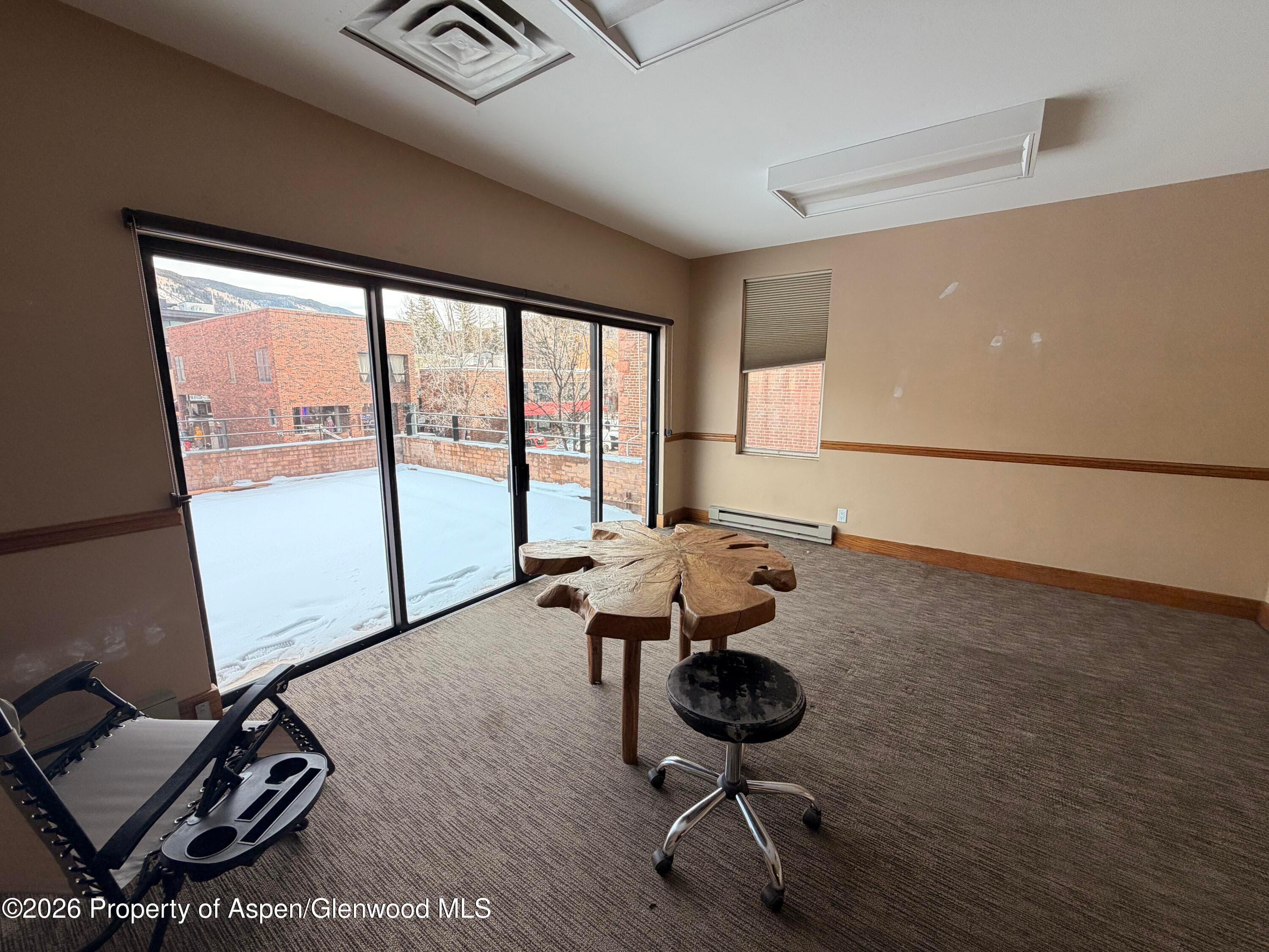 205 S Mill Street 301-A, Aspen, CO 81611 - Photo 7