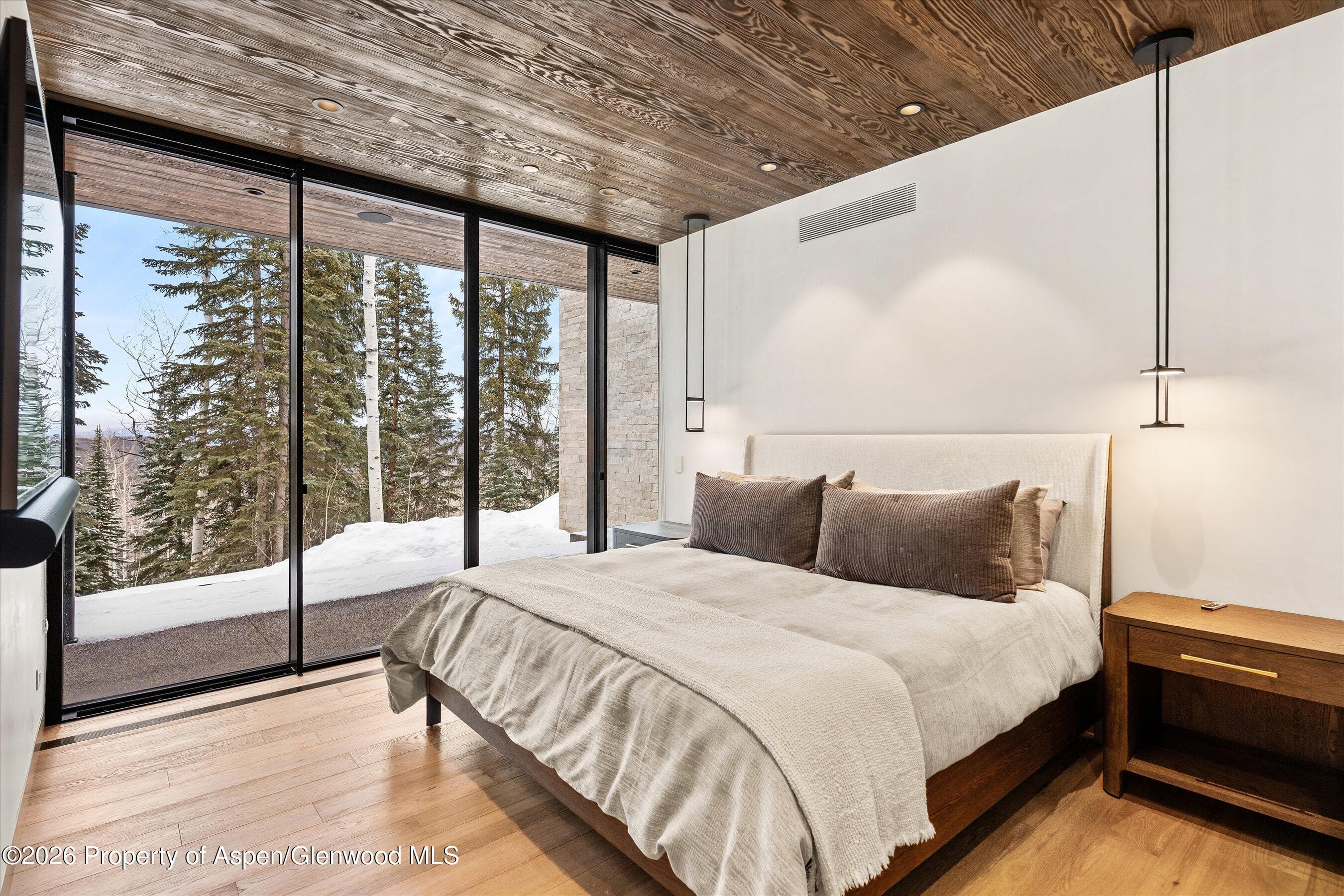 99 Forest Lane, Snowmass Village, CO 81615 - Photo 9