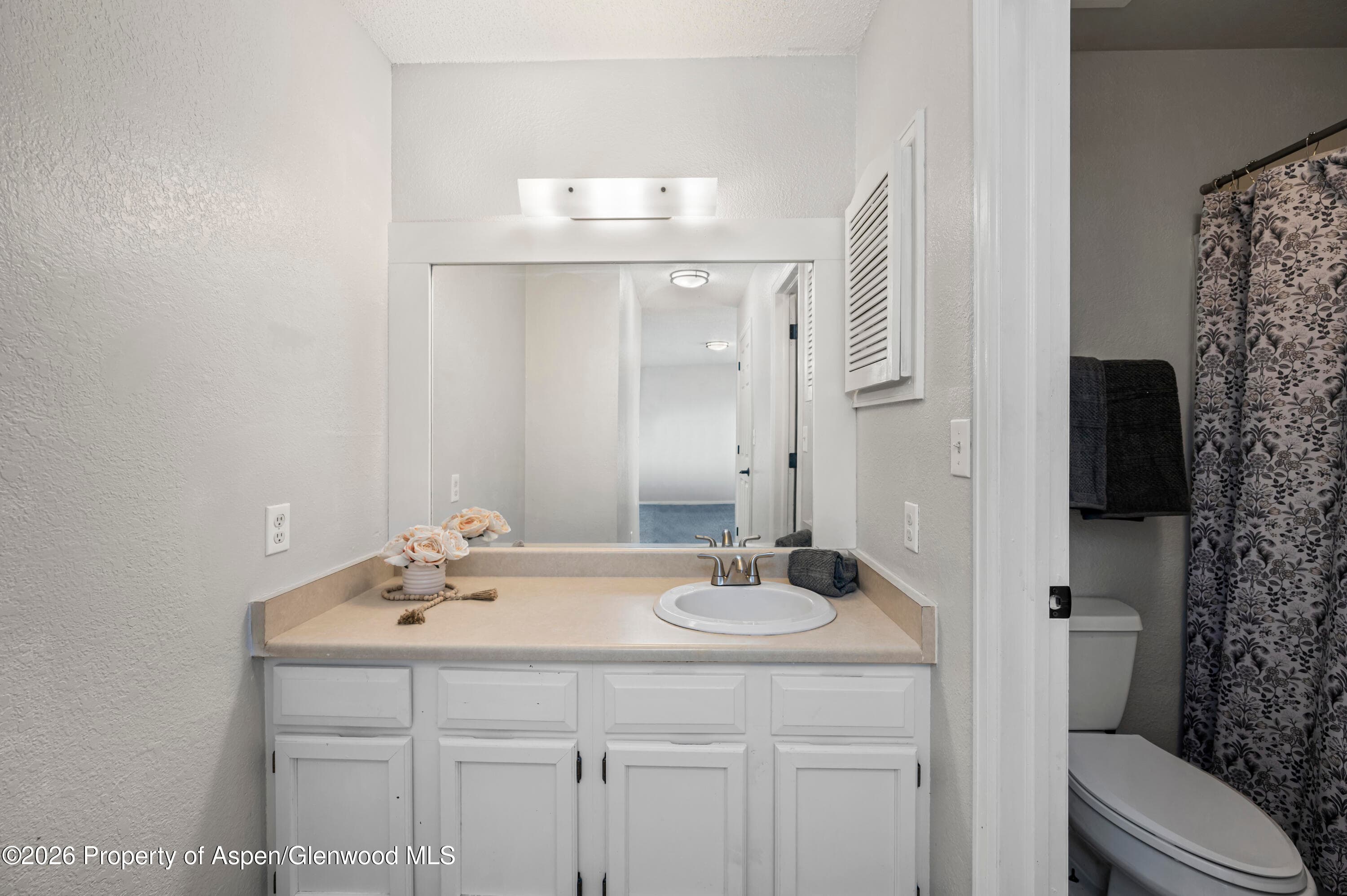 2019 Acacia Avenue, Rifle, CO 81650 - Photo 15