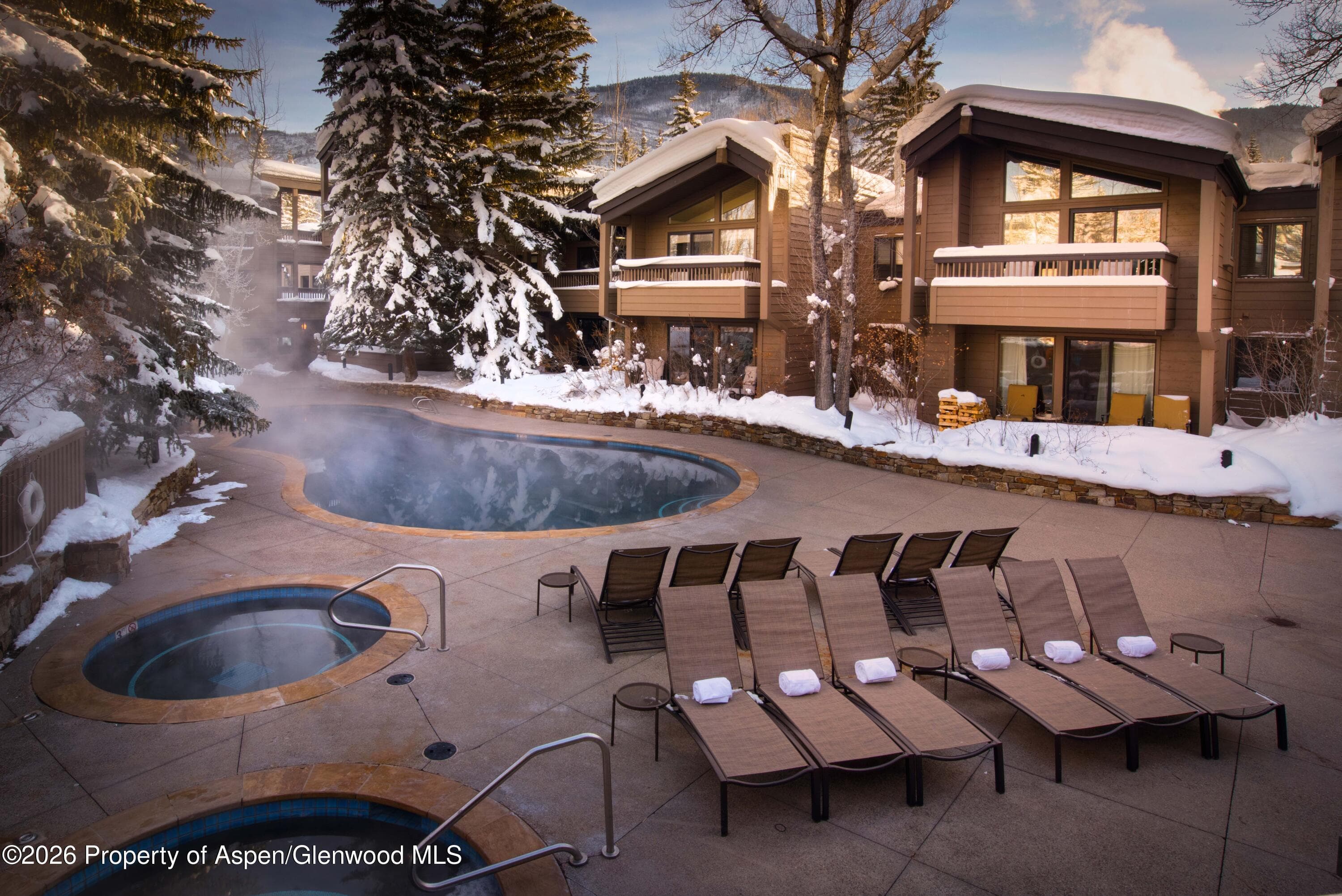 610 S West End Street G202, Aspen, CO 81611 - Photo 7