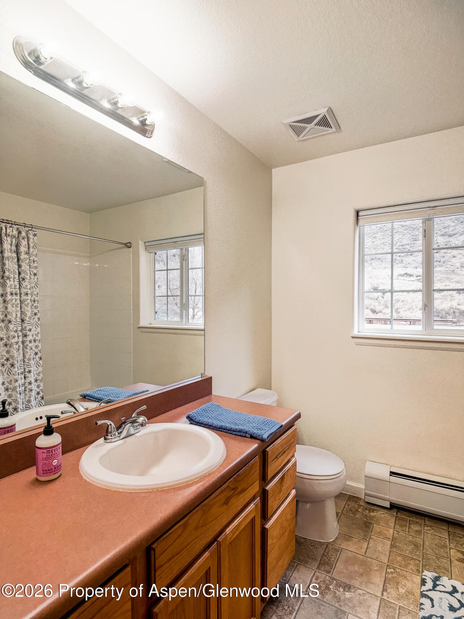 520 River View Drive 503, New Castle, CO 81647 - Photo 10