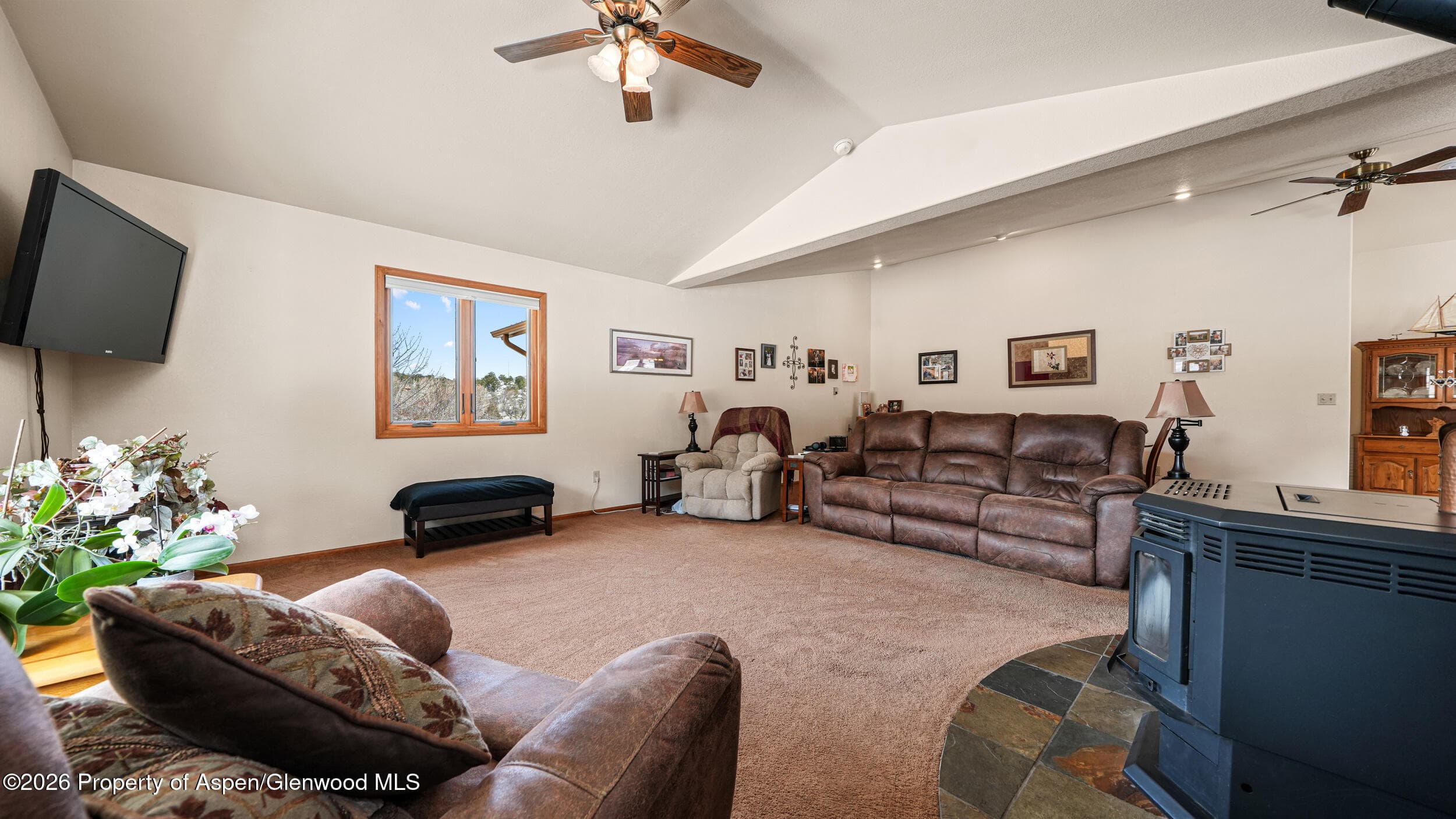2135 County Road 245, New Castle, CO 81647 - Photo 13