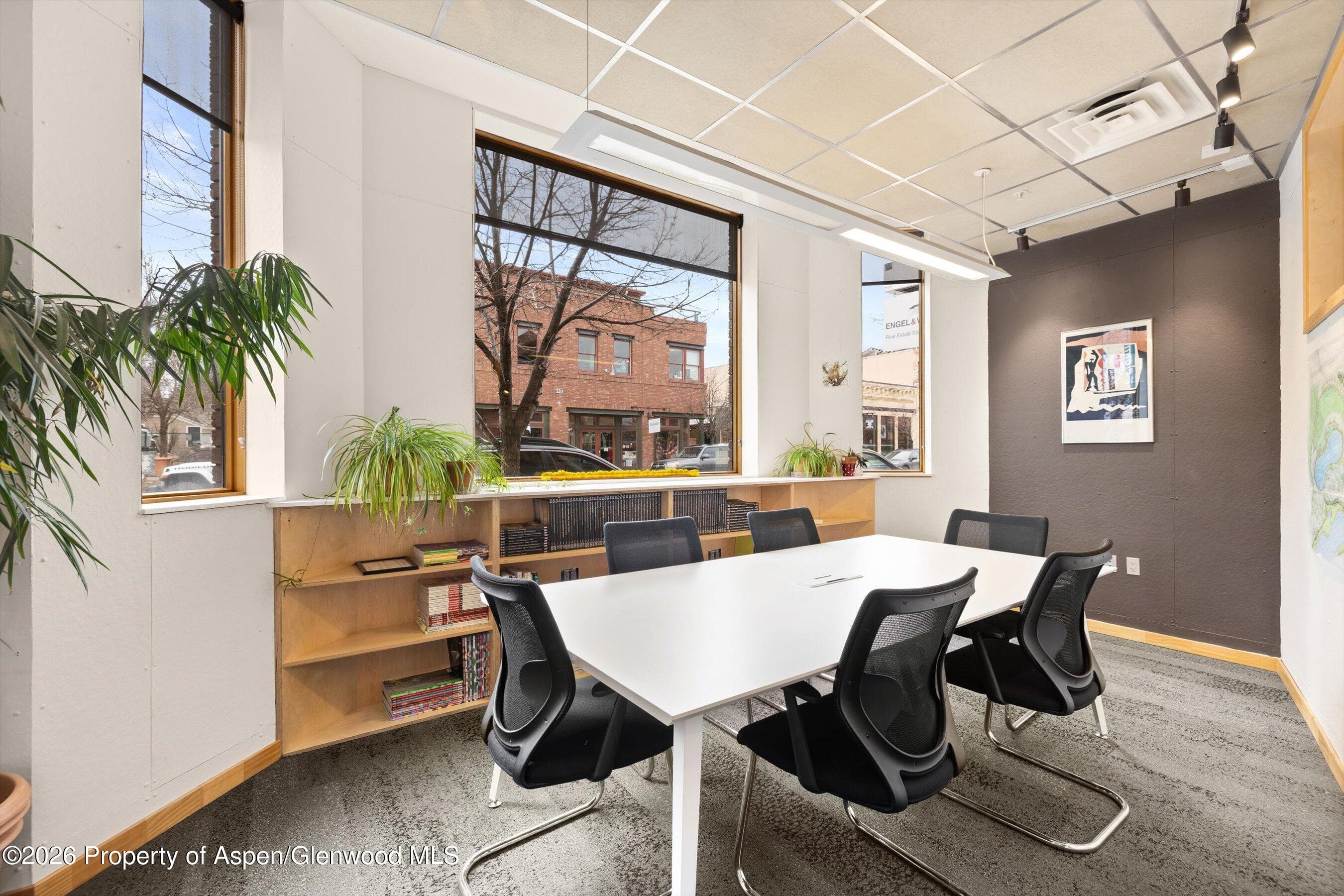 311 Main Street 101, 102, 201, 202, 203, Carbondale, CO 81623 - Photo 12