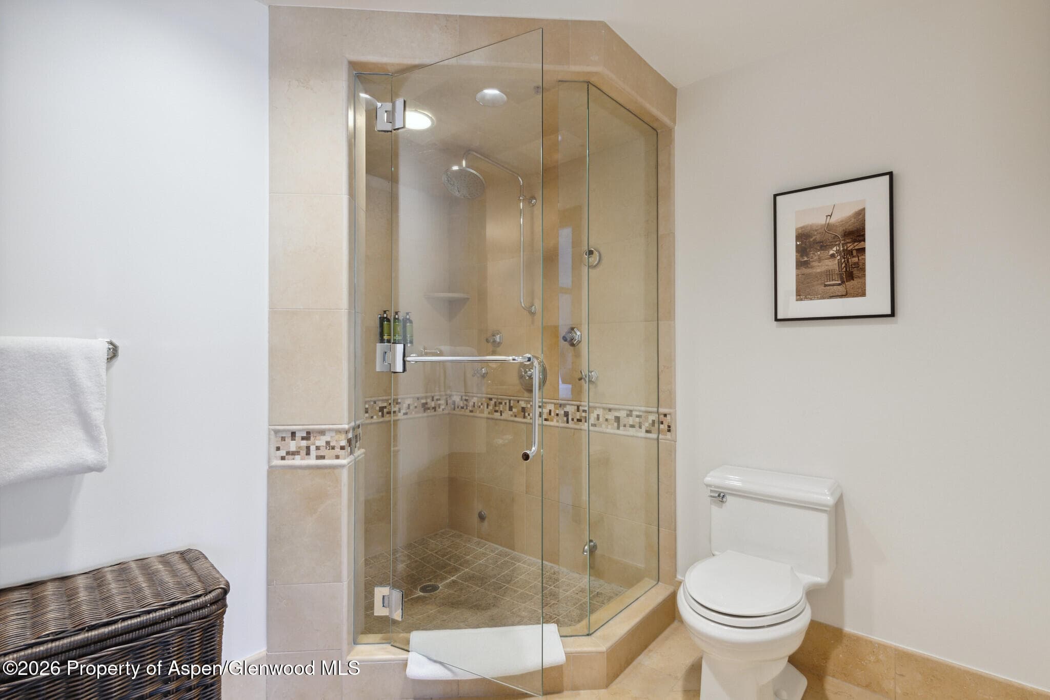 415 E Dean St, Unit 29, Week 5, Aspen, CO 81611 - Photo 20