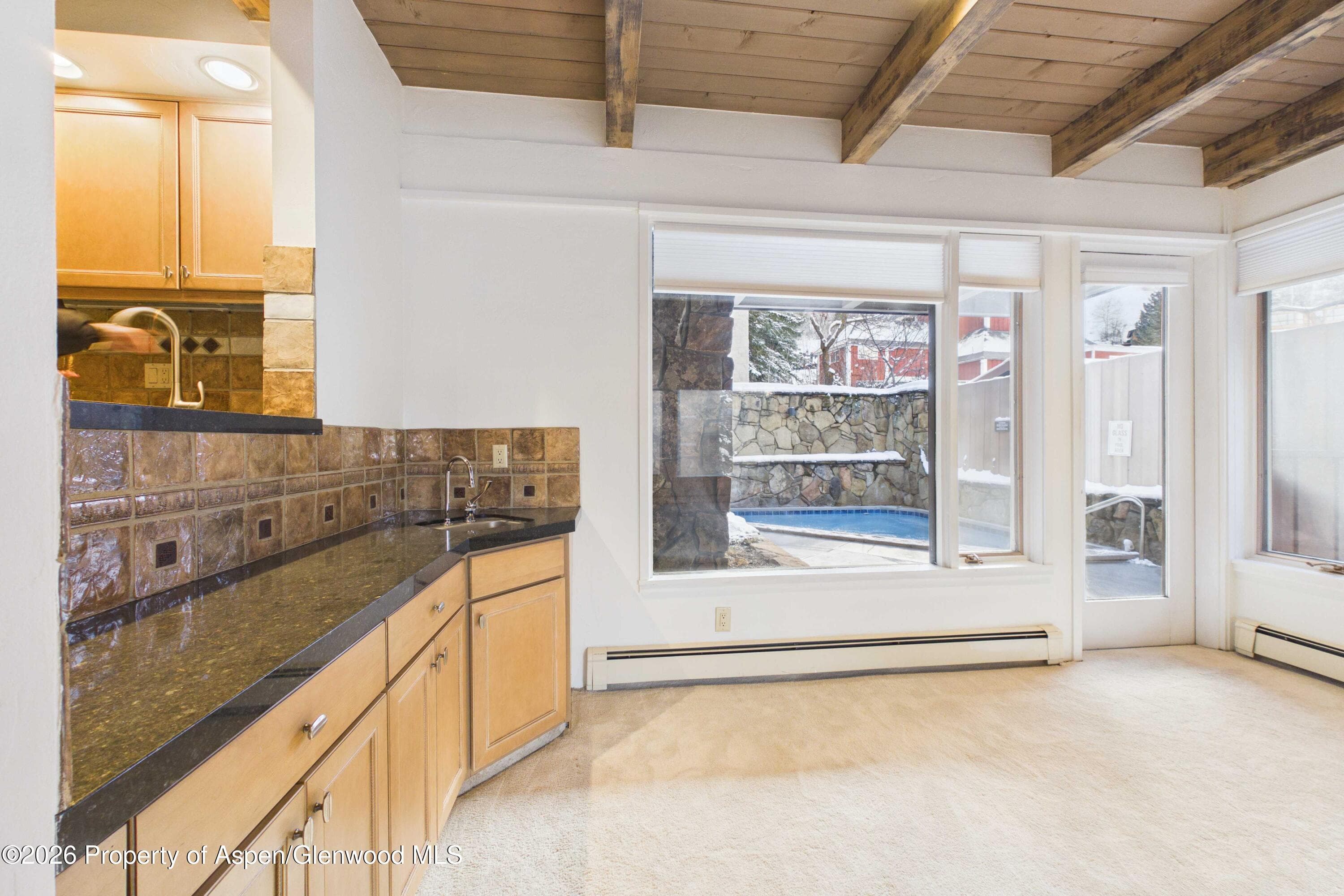 651 S Monarch Street 104, Aspen, CO 81611 - Photo 8