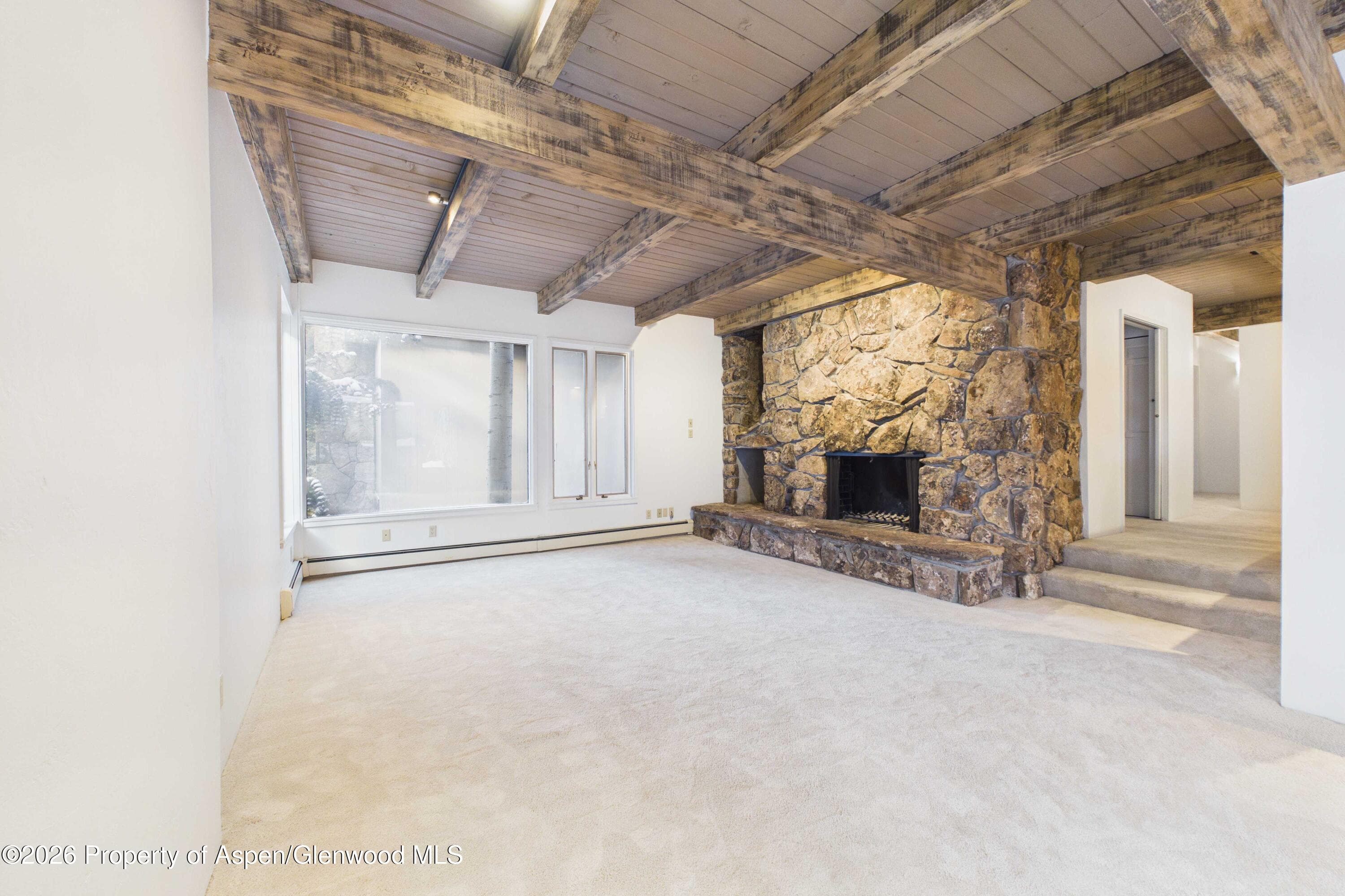 651 S Monarch Street 104, Aspen, CO 81611 - Photo 5
