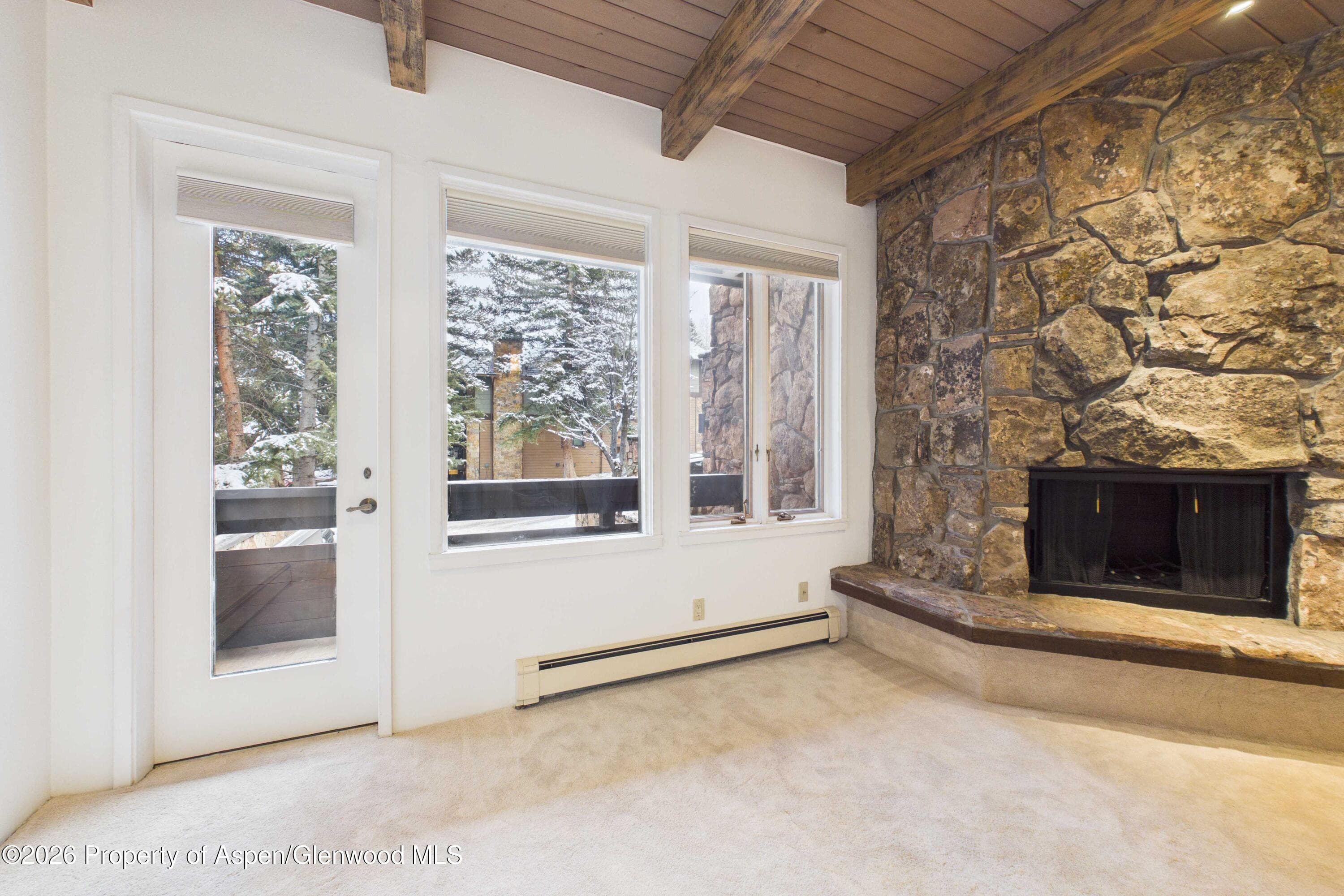651 S Monarch Street 104, Aspen, CO 81611 - Photo 6