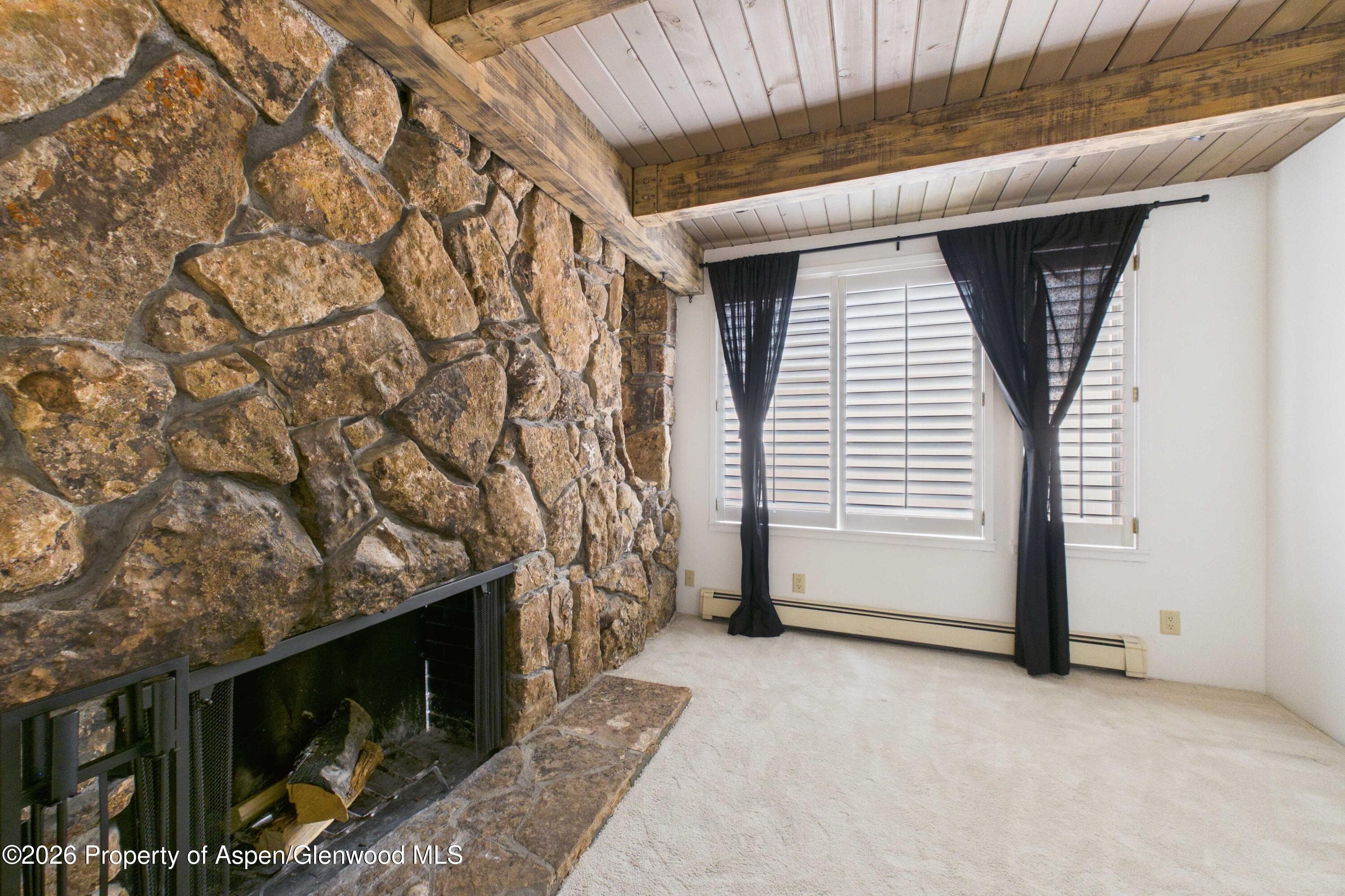 651 S Monarch Street 104, Aspen, CO 81611 - Photo 17