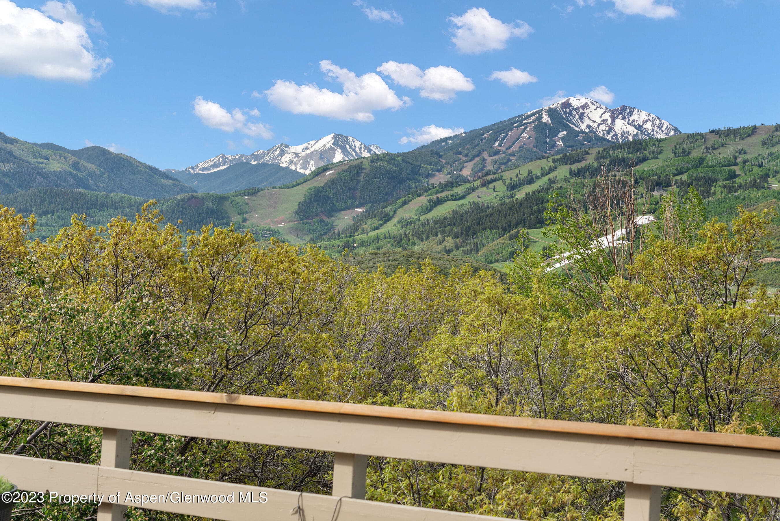 108 Trentaz Drive, Aspen, CO 81611 - Photo 9