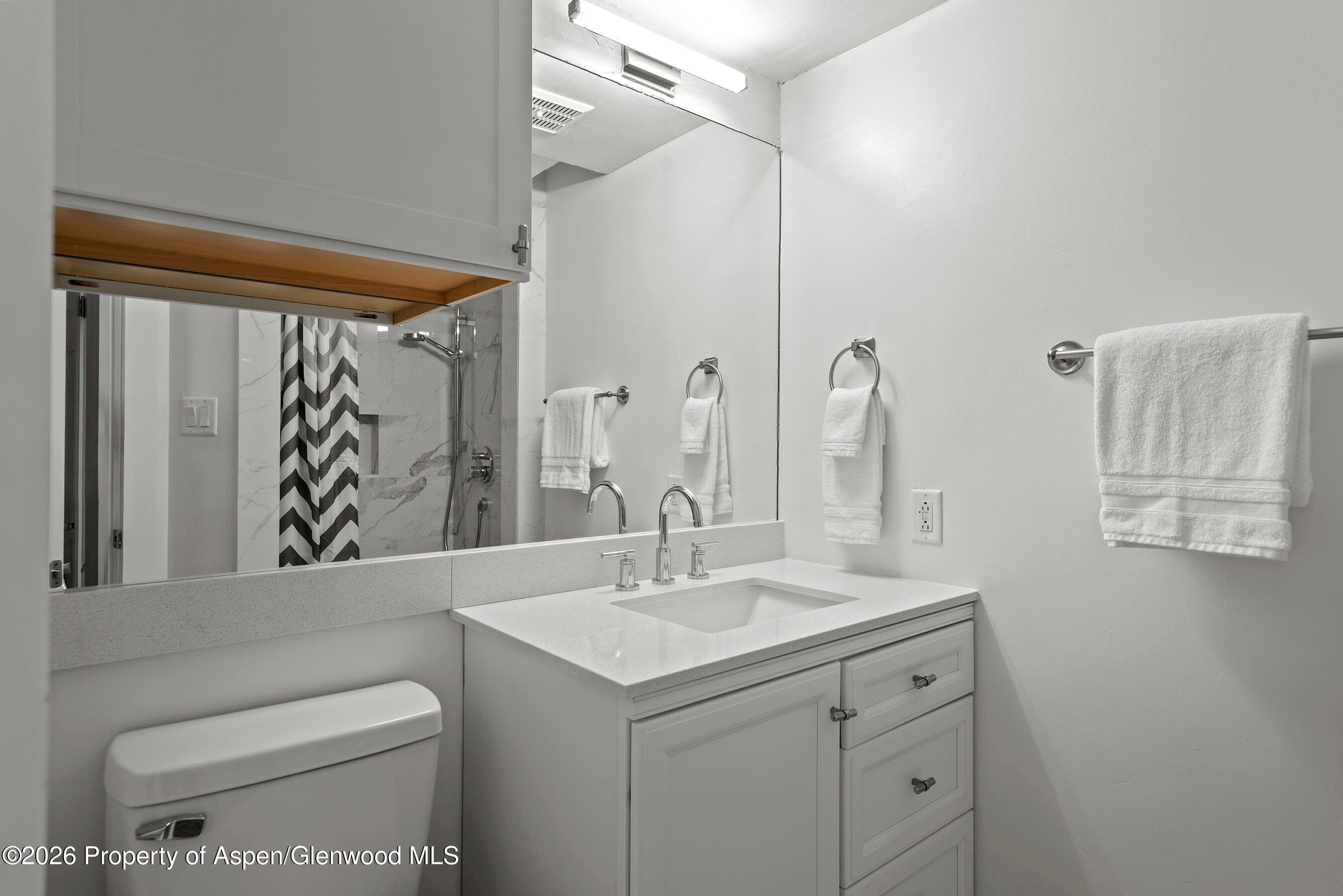 1024 E Cooper Avenue 2, Aspen, CO 81611 - Photo 20