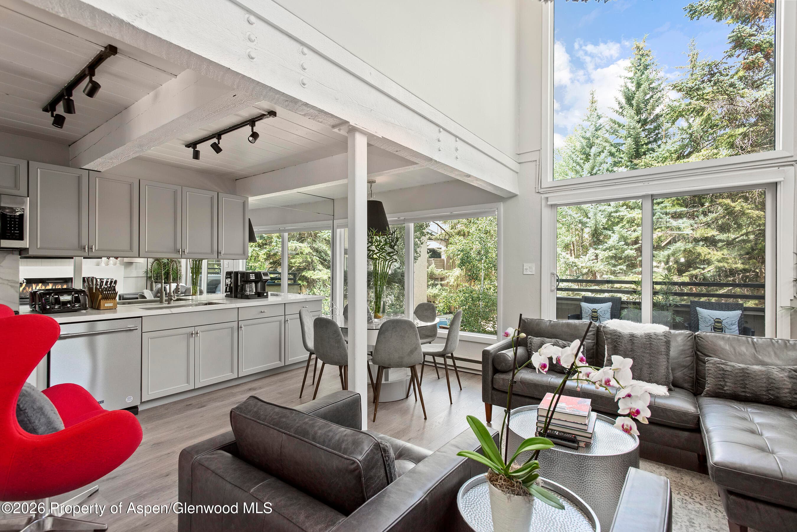 1024 E Cooper Avenue 2, Aspen, CO 81611 - Photo 6