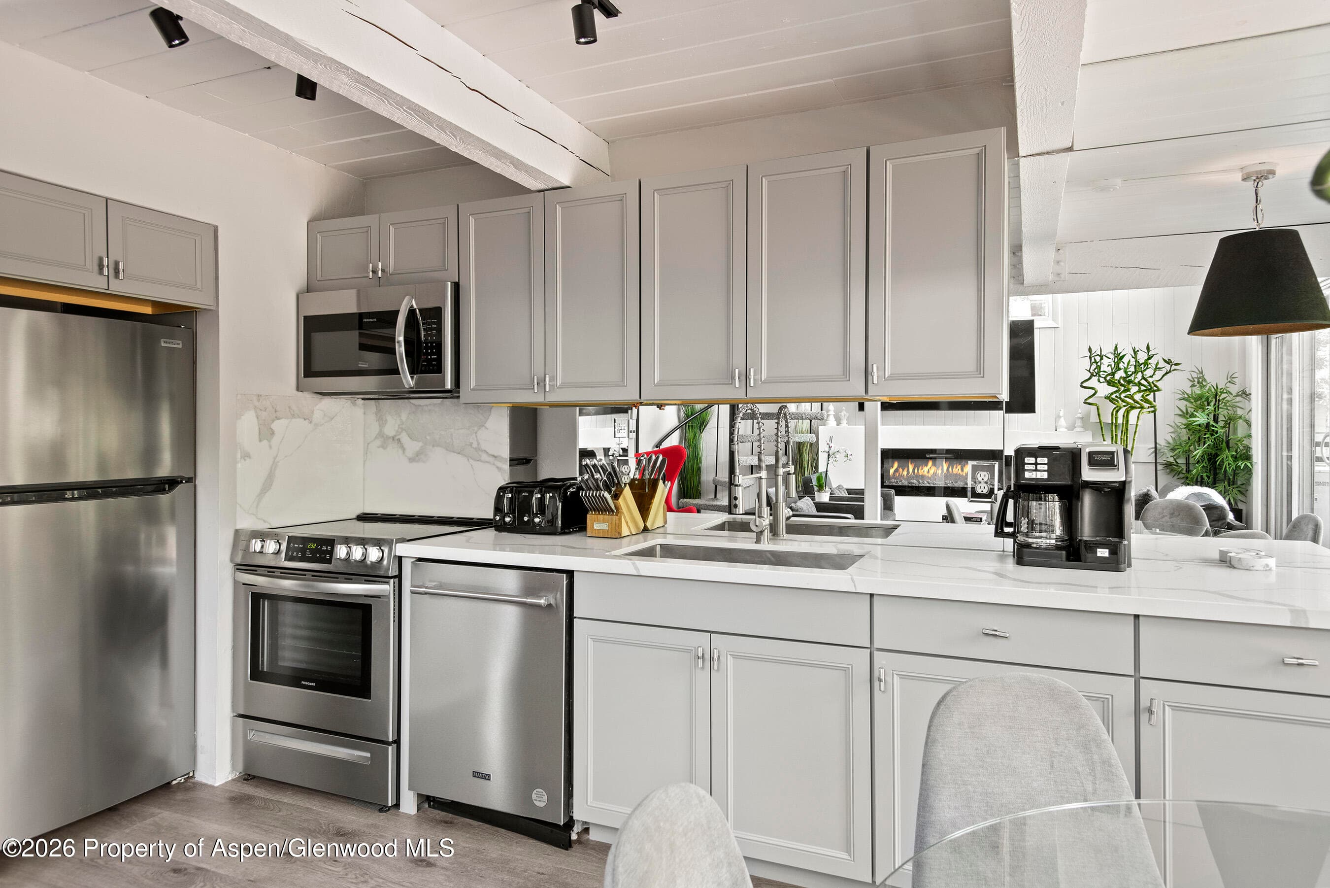 1024 E Cooper Avenue 2, Aspen, CO 81611 - Photo 14