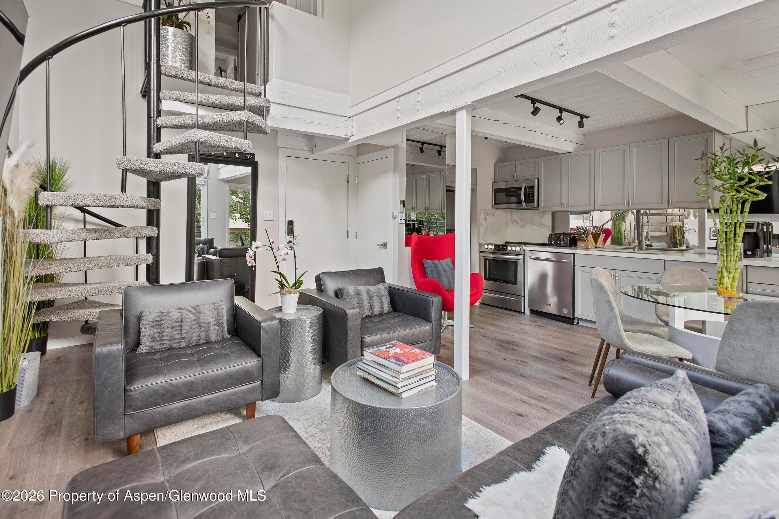 1024 E Cooper Avenue 2, Aspen, CO 81611 - Photo 7
