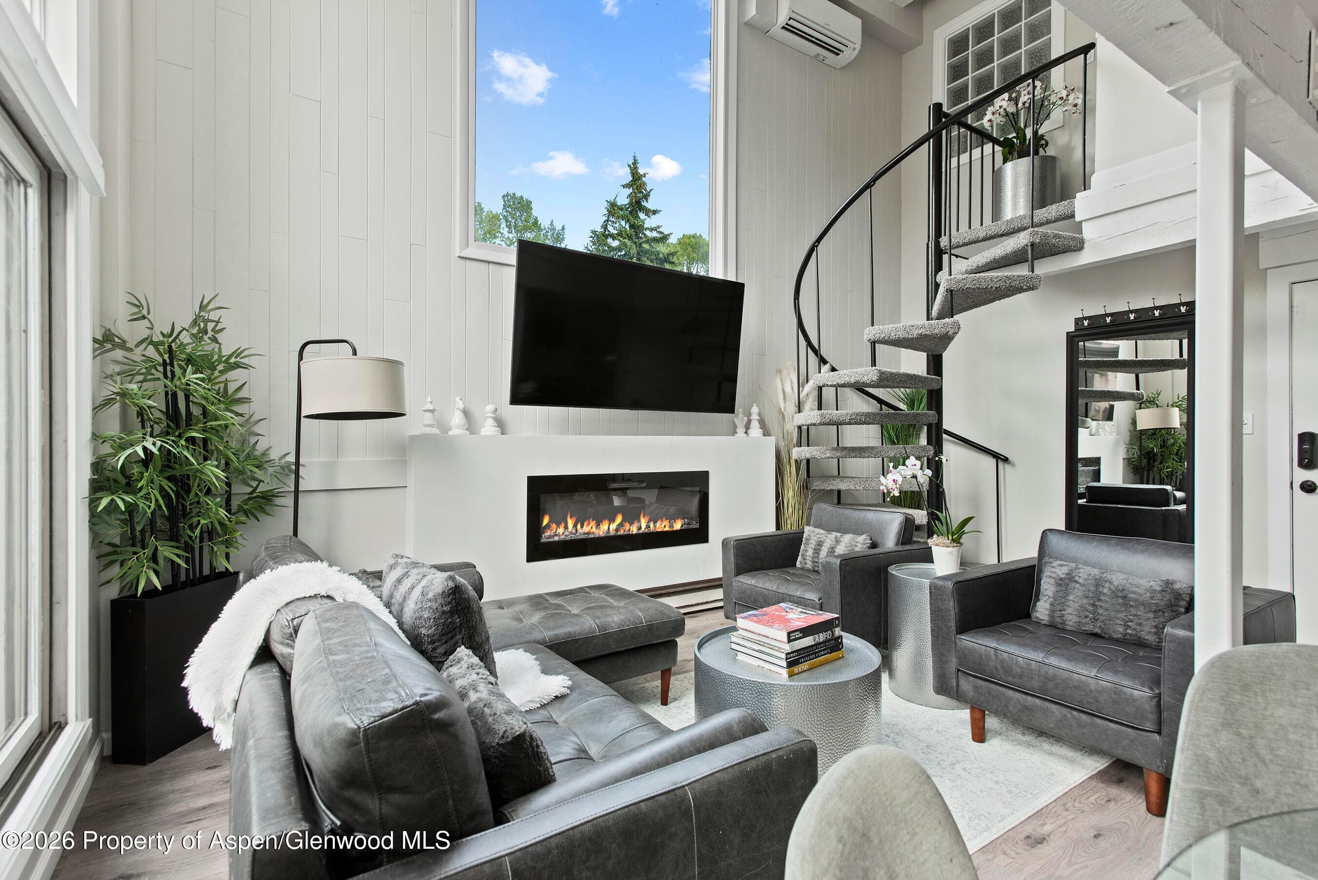1024 E Cooper Avenue 2, Aspen, CO 81611 - Photo 5